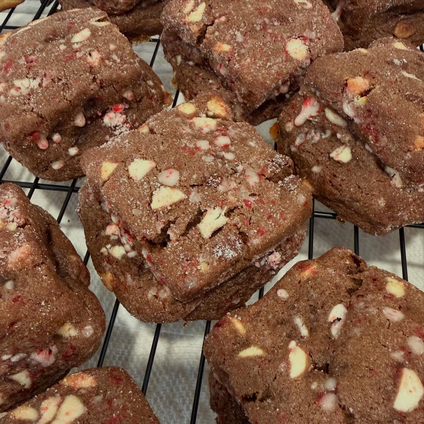 The most wonderful time of the year ✨ feat. Candy Cane &amp; White Cranny