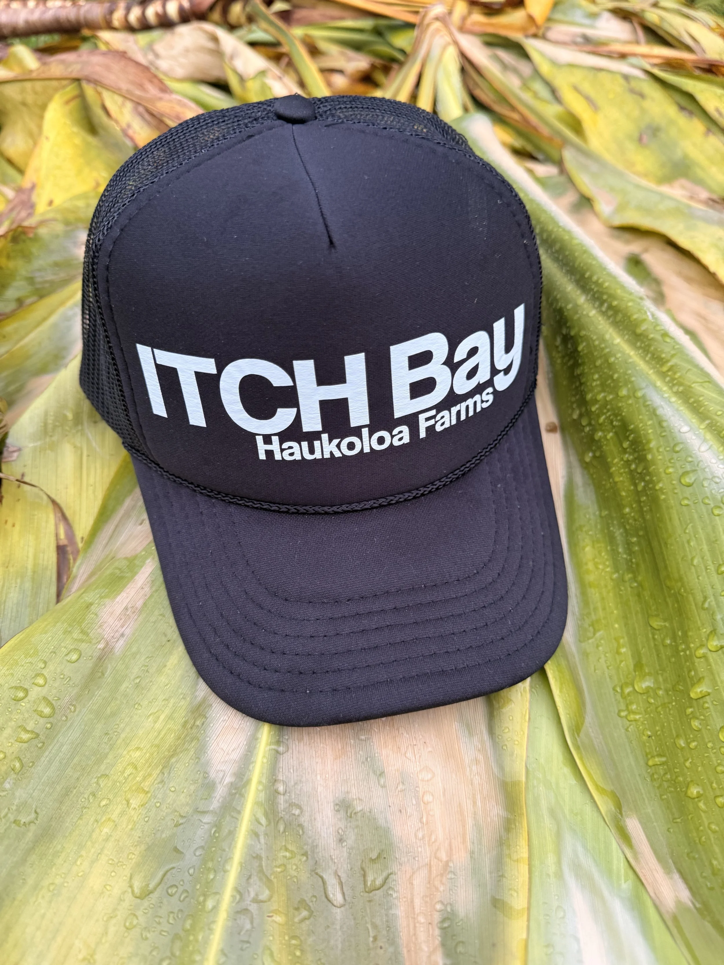 ITCH Bay Haukoloa Farms Cap