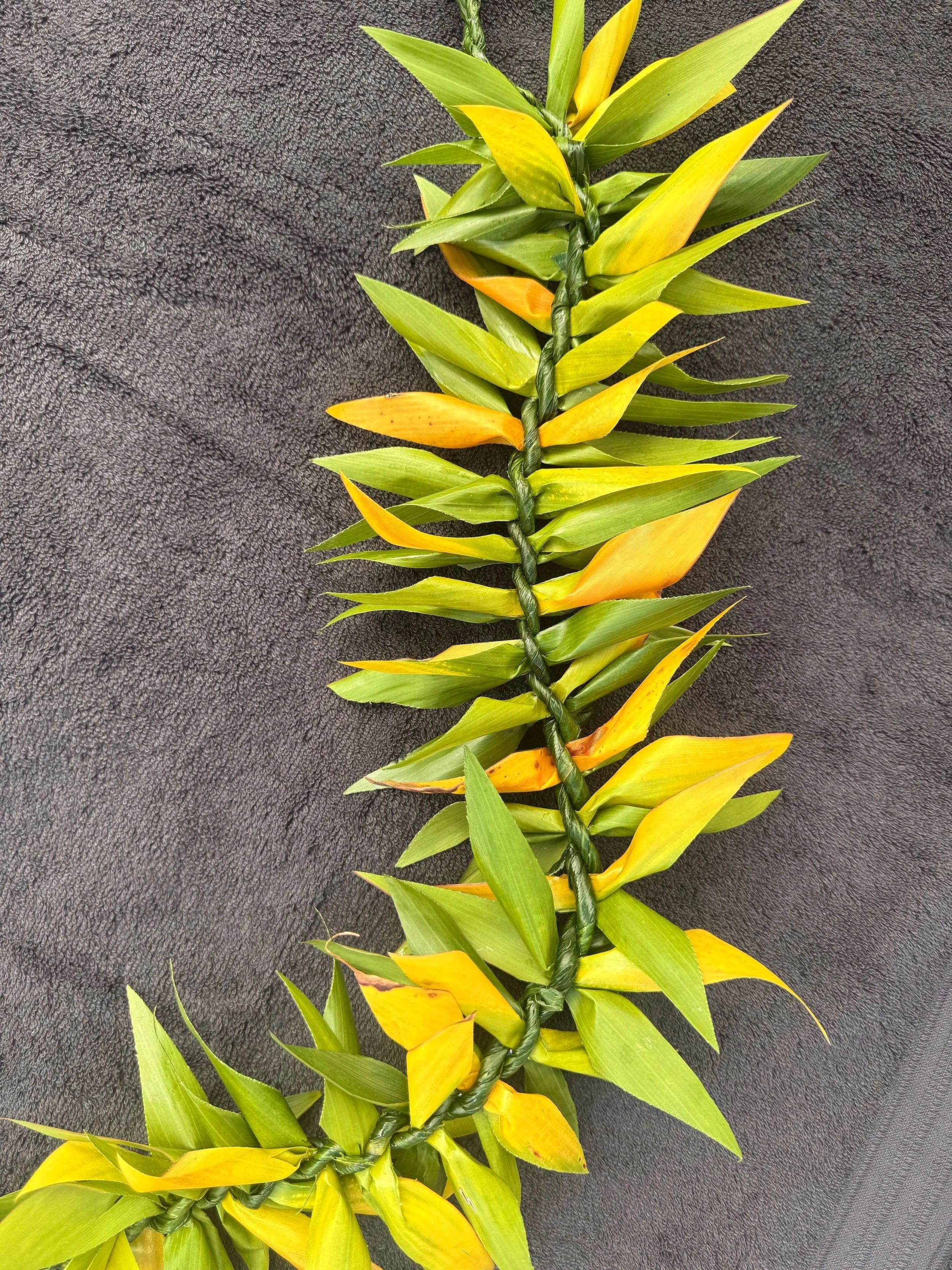 Full Maile Style Ti Lei w/ Half-Half Color Variation