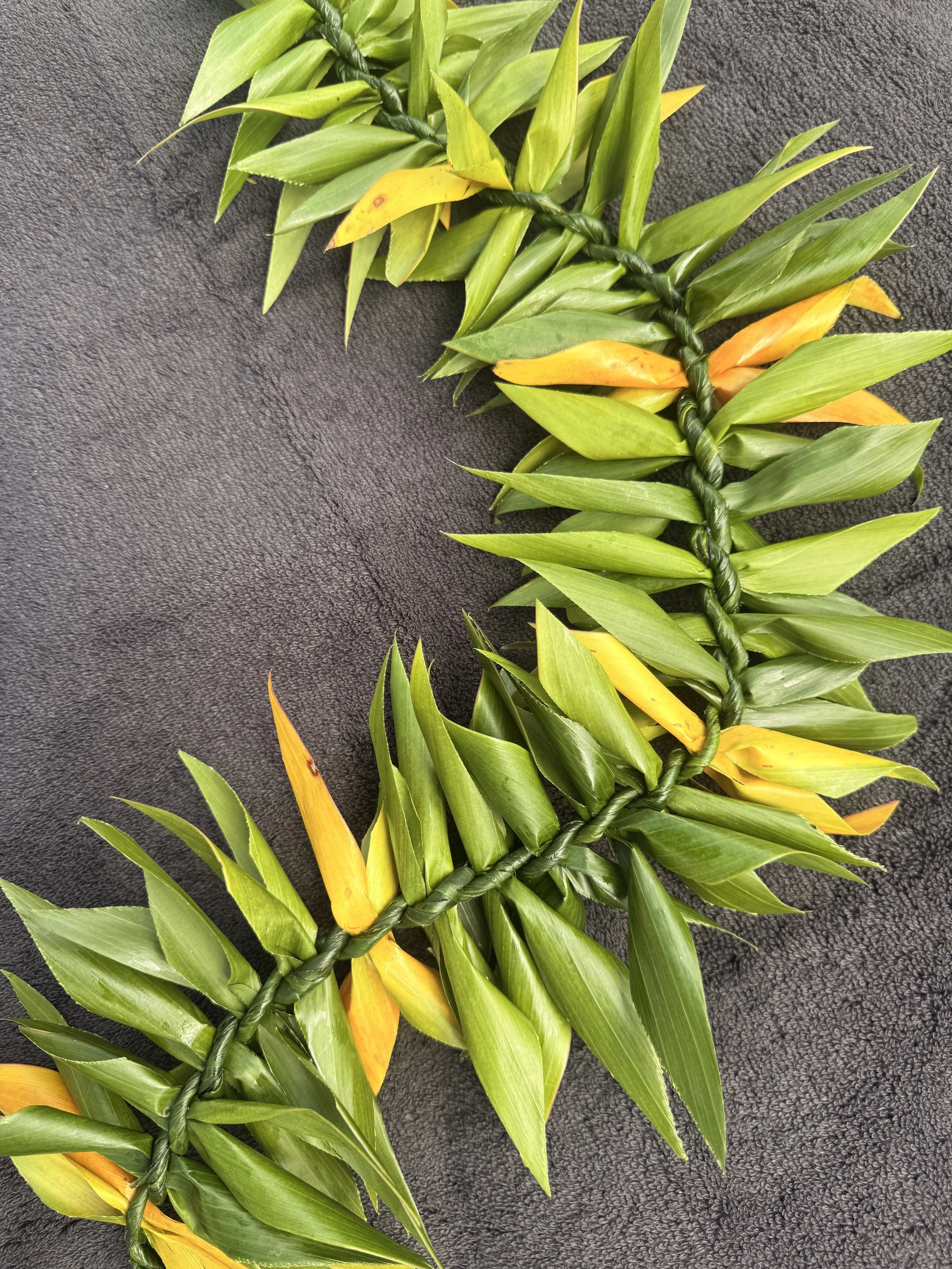 Full Maile Style Ti Leaf w/ Hint of Color