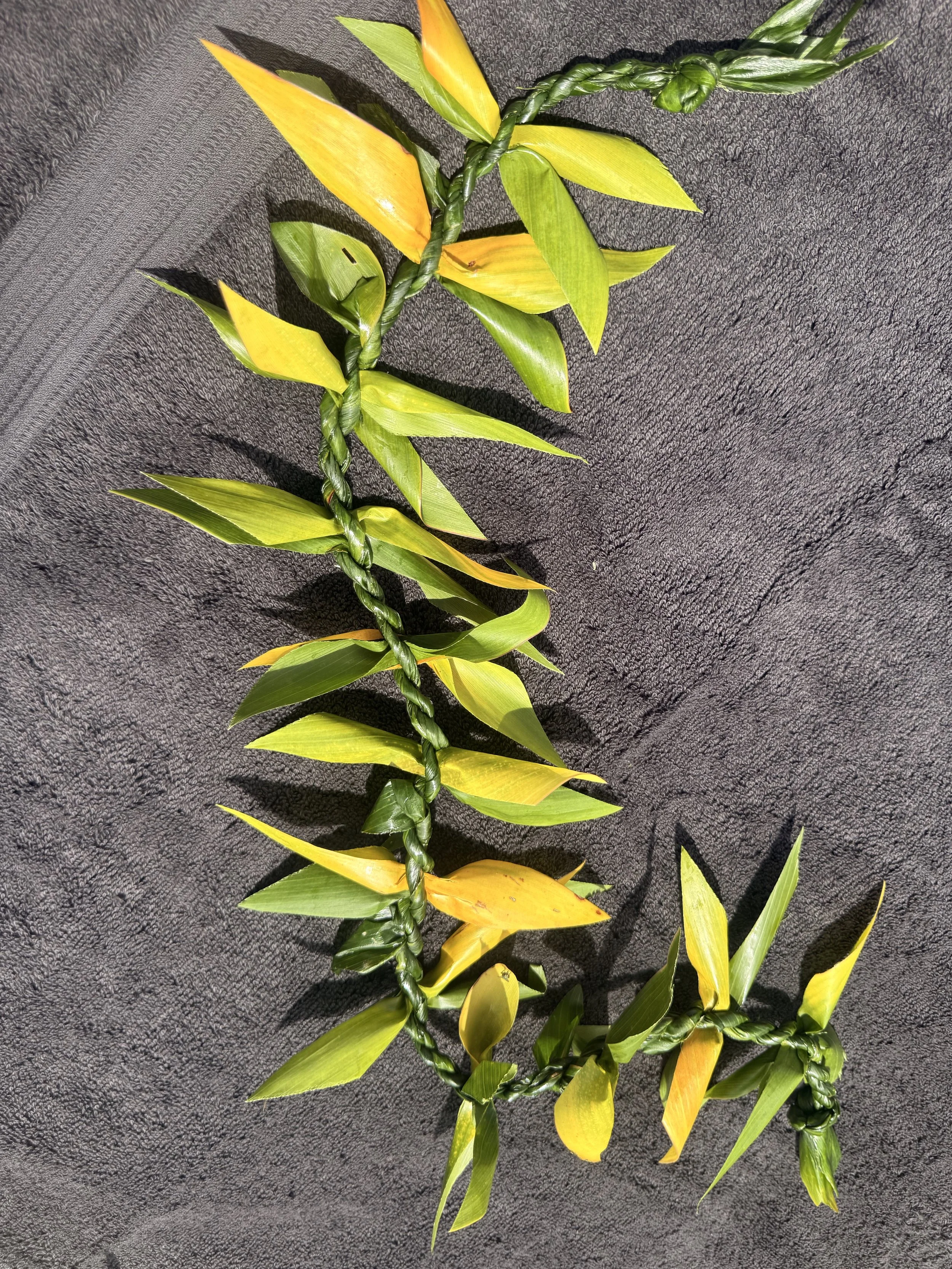 Regular Maile Style Ti Lei w/ Half-Half Color