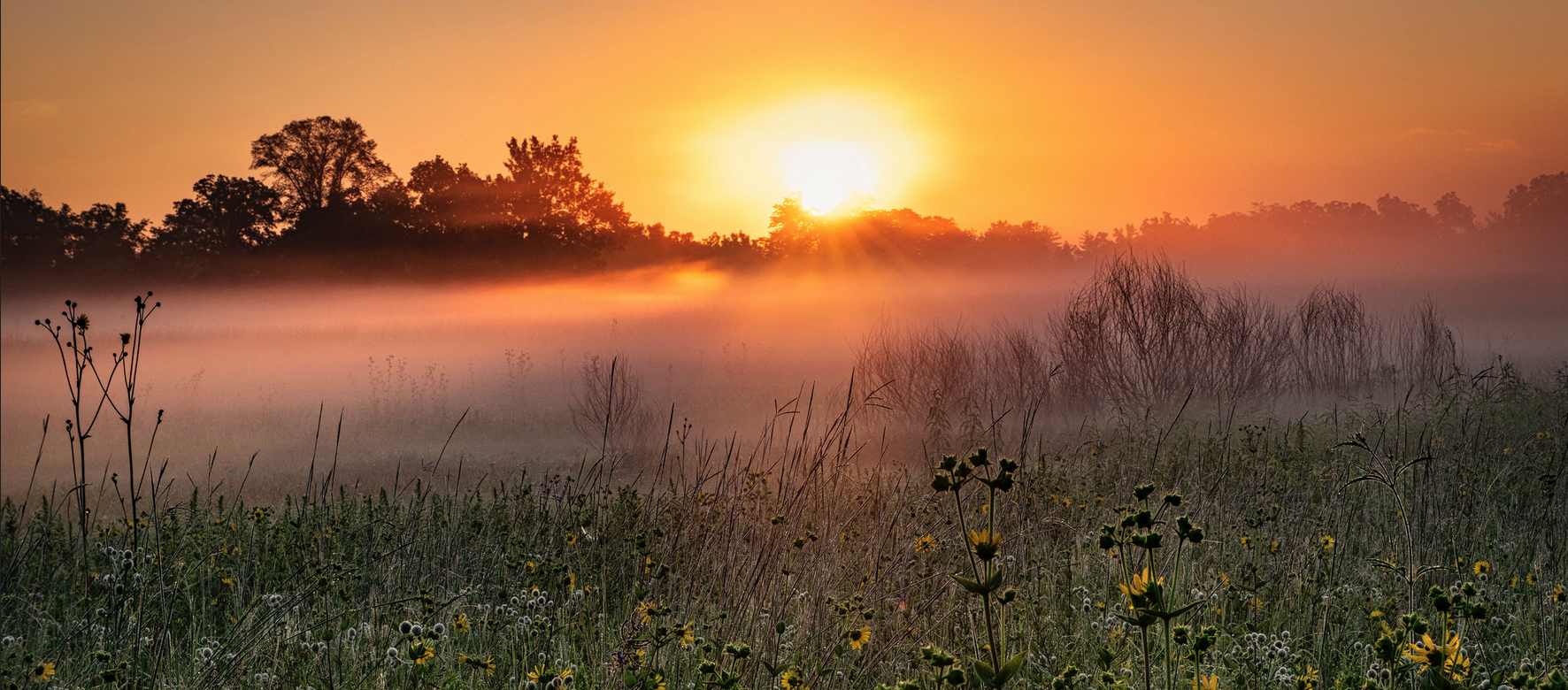 Restored-prairie-in-Barrington-IL-by-Jeff-Chemelewski.png