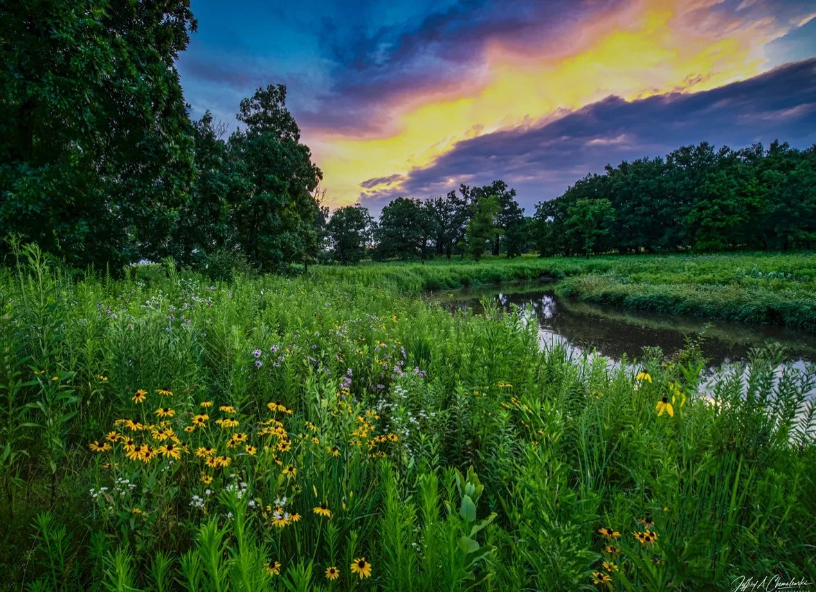 Photo+Gallery6.webp
