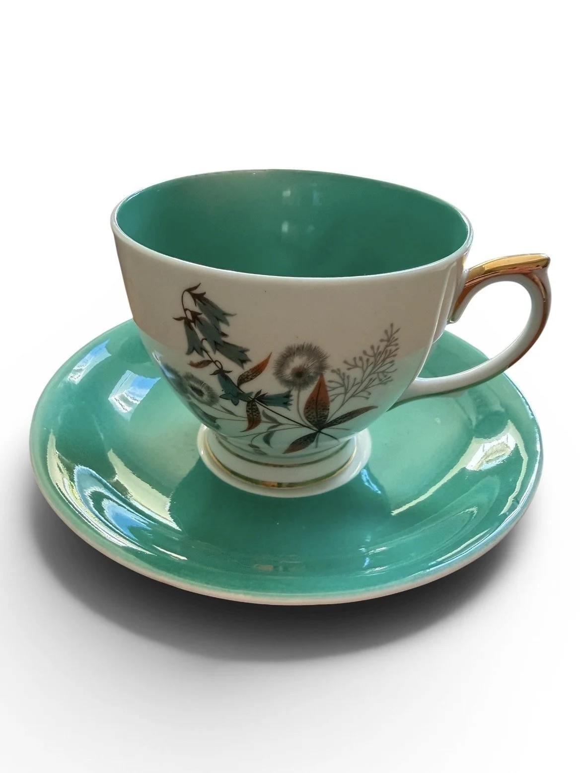 ref 36 cup.jfif (Copy)