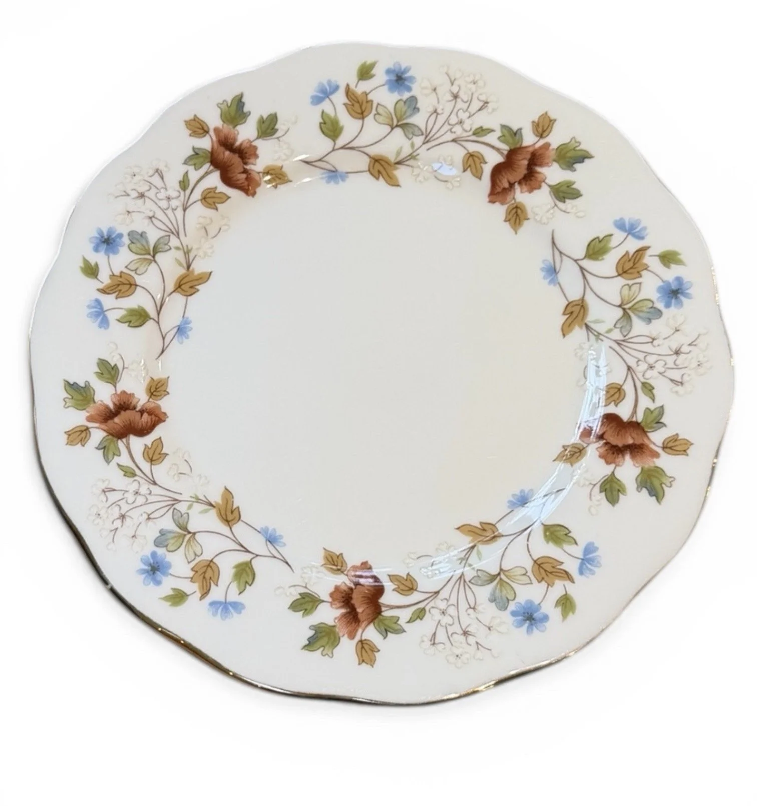 ref 30 plate.jfif (Copy)