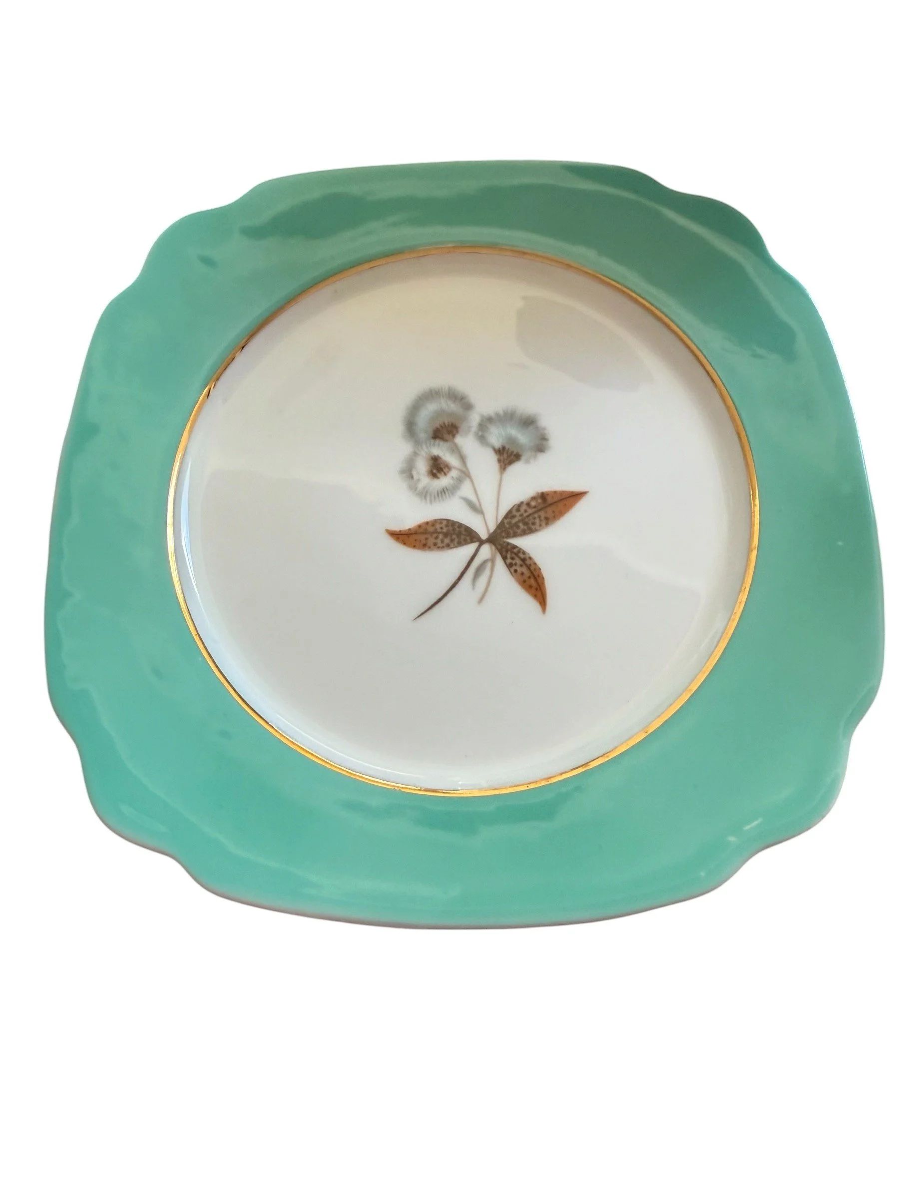 ref 36 plate.jfif (Copy)