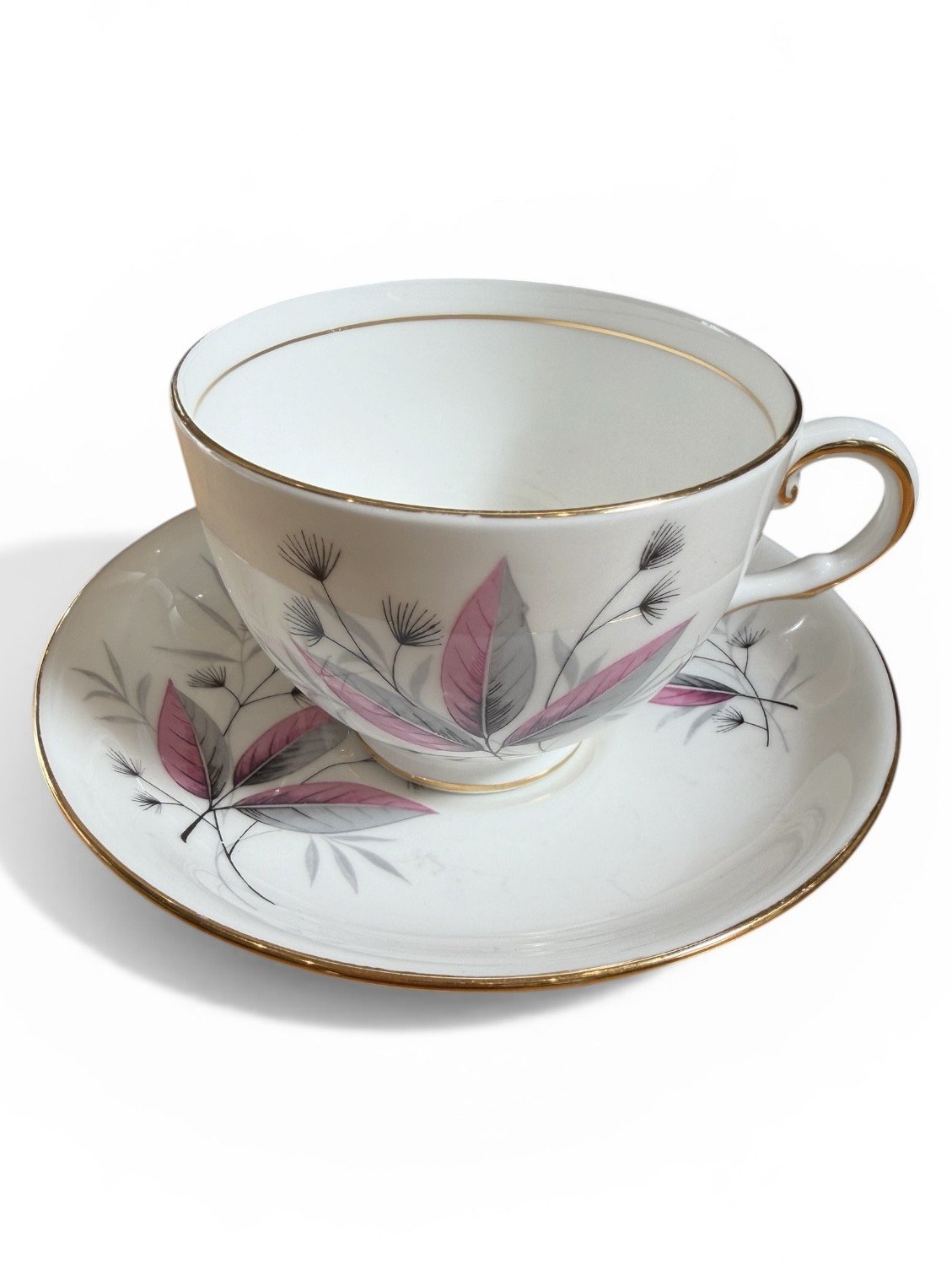 ref 34 cup.jfif (Copy)