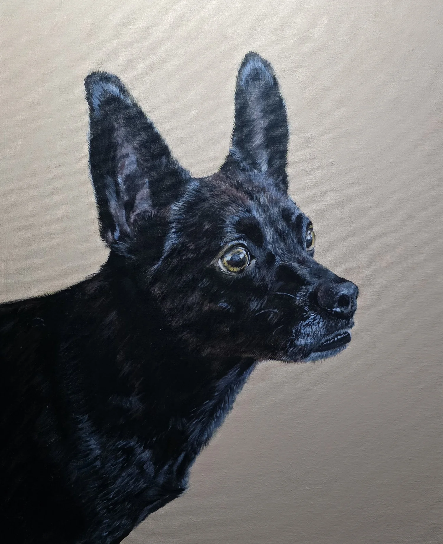 The Enchanted Nook Pet Portraits 