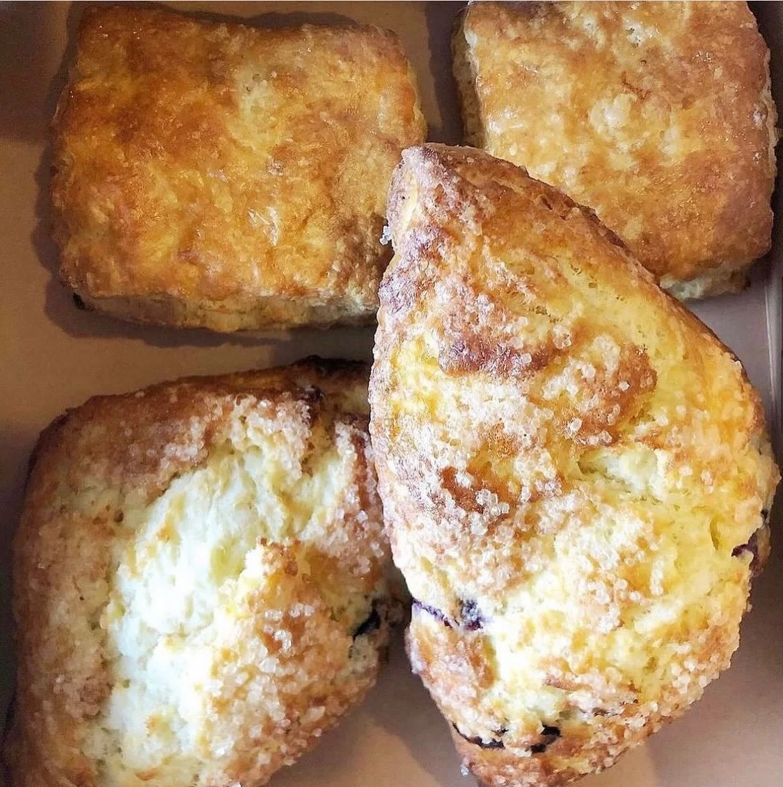 Fresh from the oven. Swipe for the flaky layers ➡️