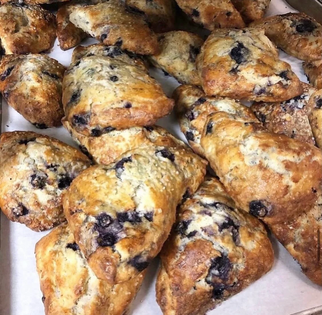 Made with love 🫶🏻 and baked to perfection {blueberry scones} 💙 Available everyday 8am-3pm! Goes best with a cup of la colombe coffee! ☕️

#housemade #breakfast #scone #lacolombe #avenuekitchen