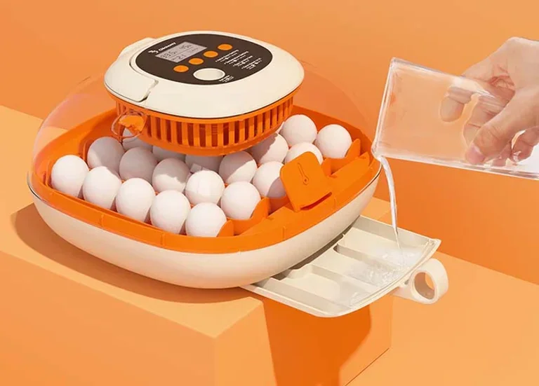 page-egg-incubator-02 (1).webp