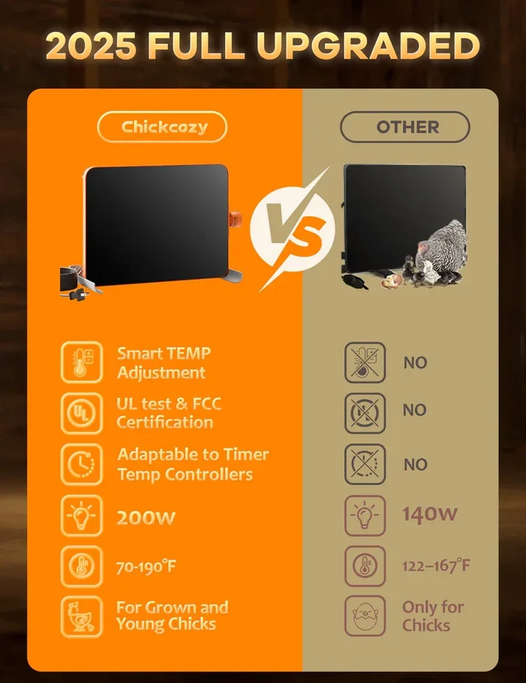 chickcozyimage_8 (1).webp