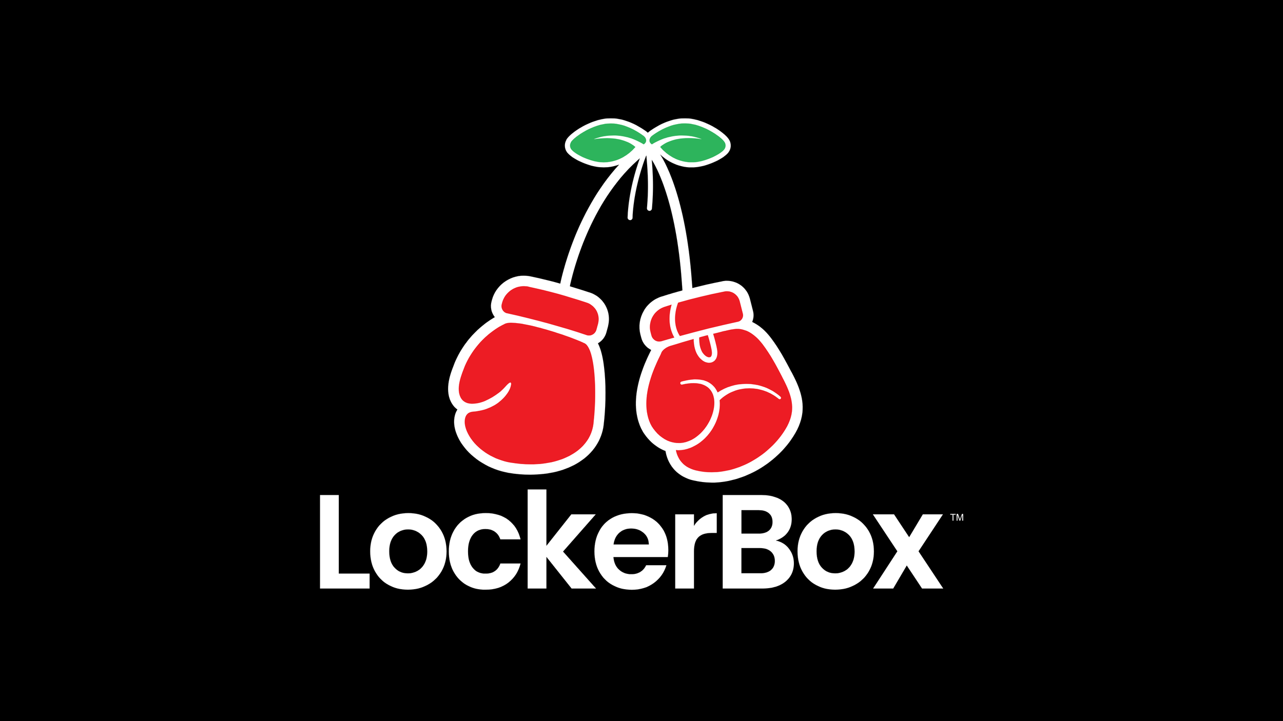 LockerBox Logo3.png