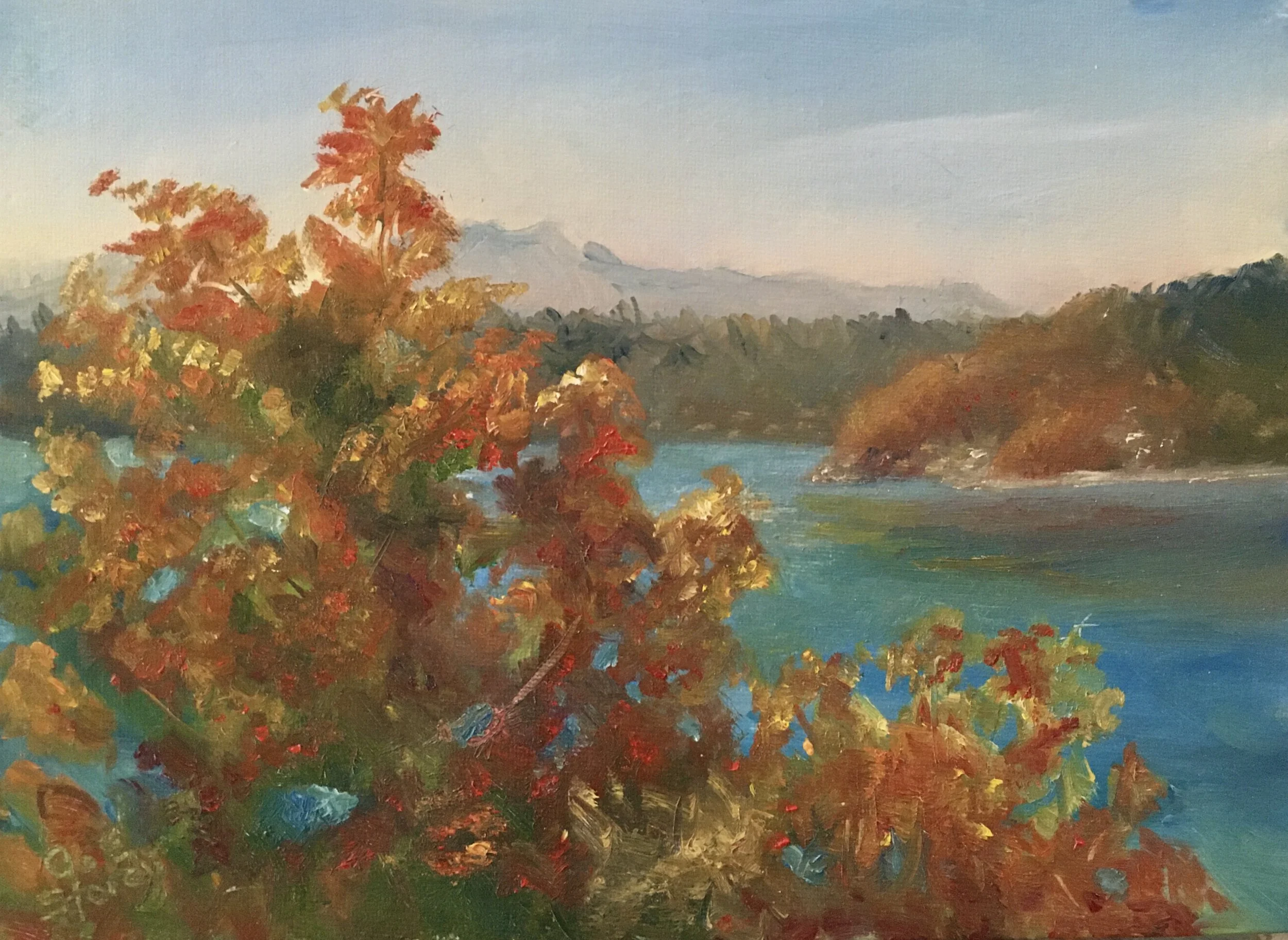 Sugar Maple Vista.jpeg