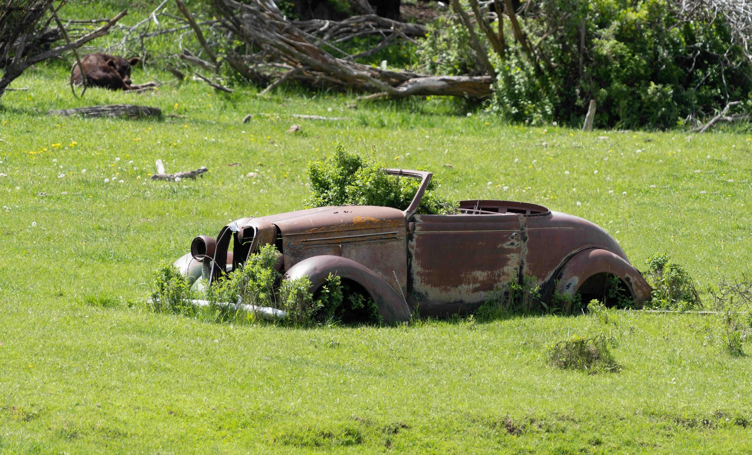 Park the Convertible
