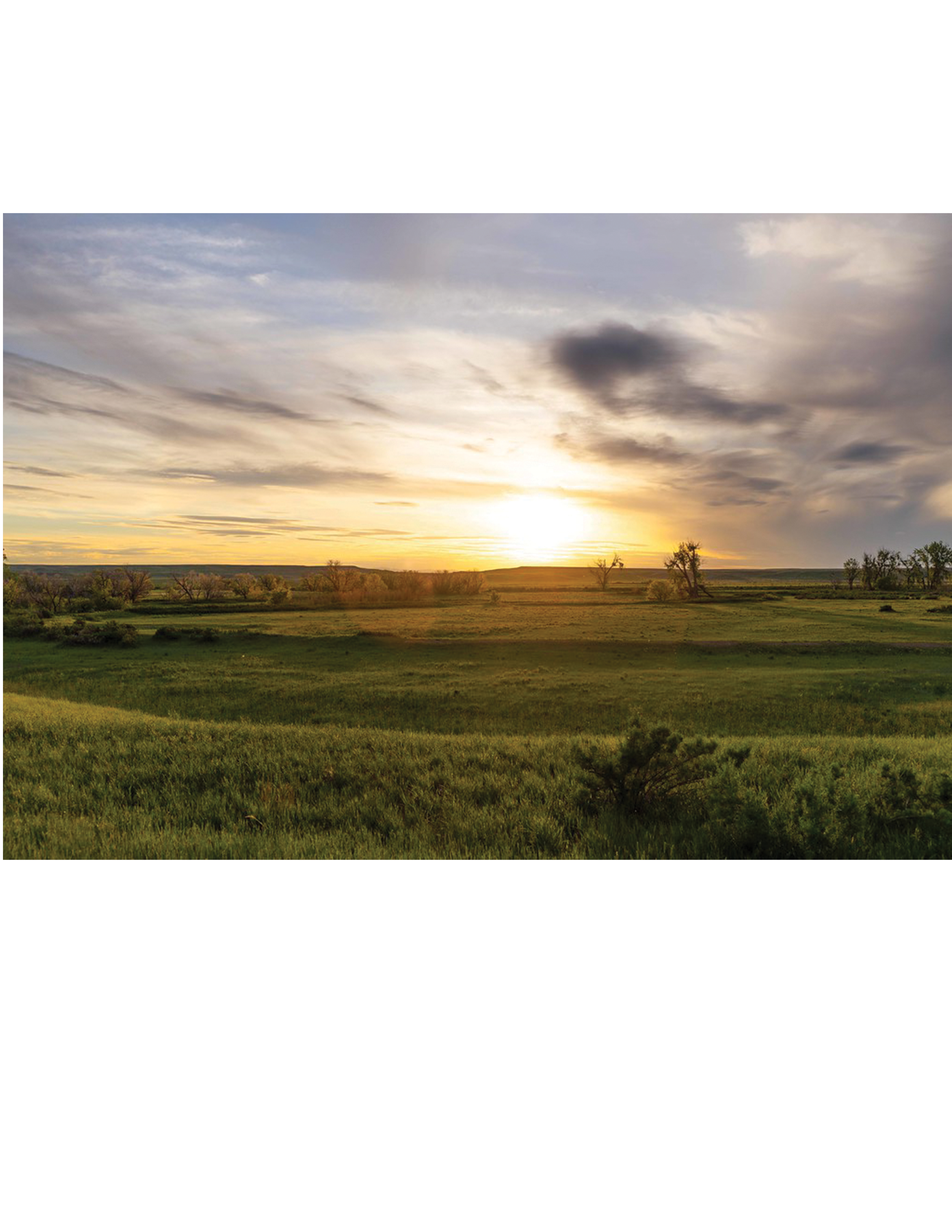 montana Prairie.png