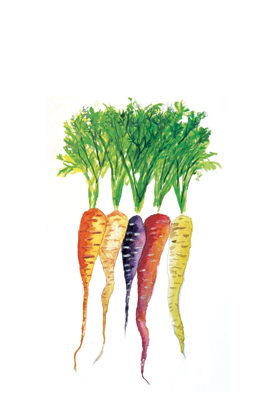 Screenshot 2026-01-24 at 4.46.21 PM.png