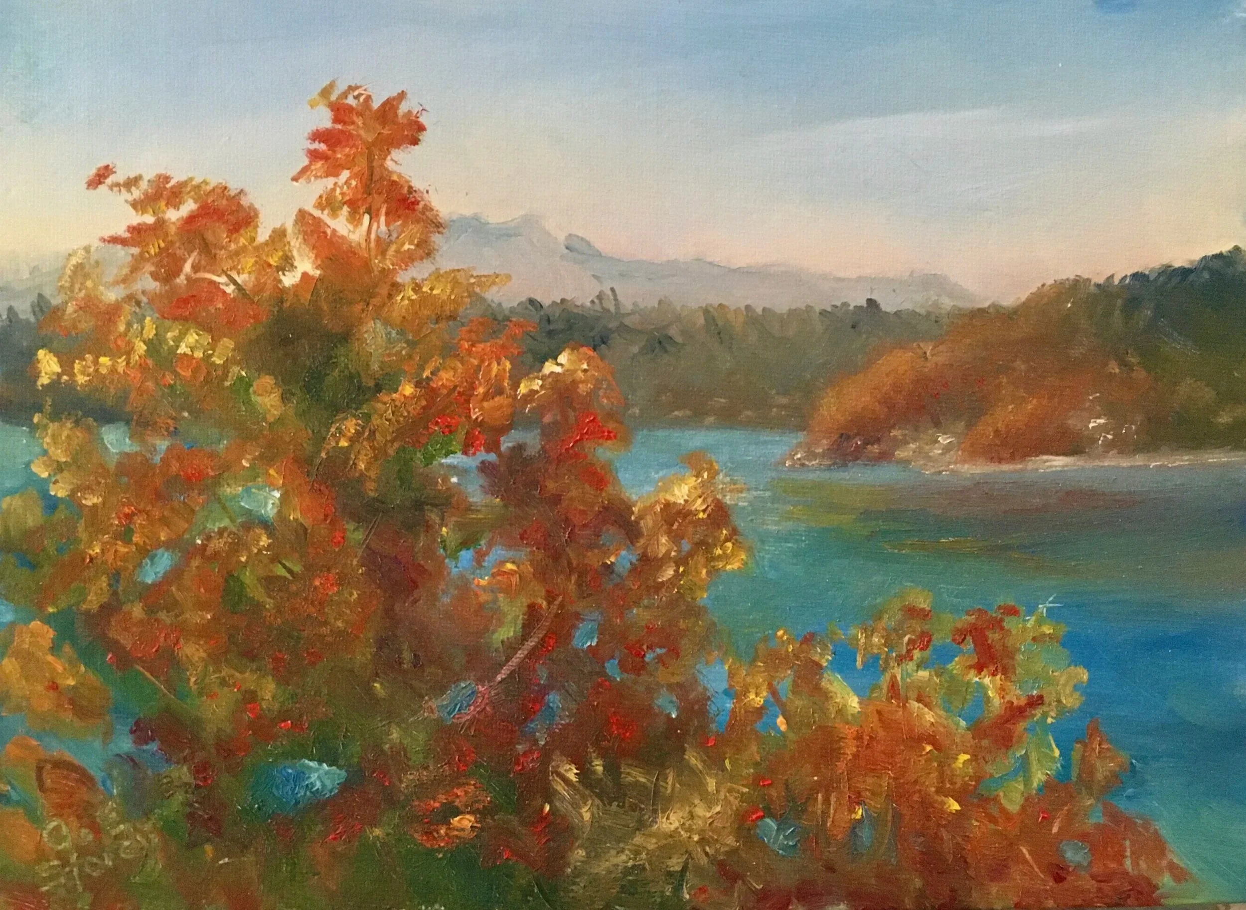 Sugar+Maple+Vista.jpg