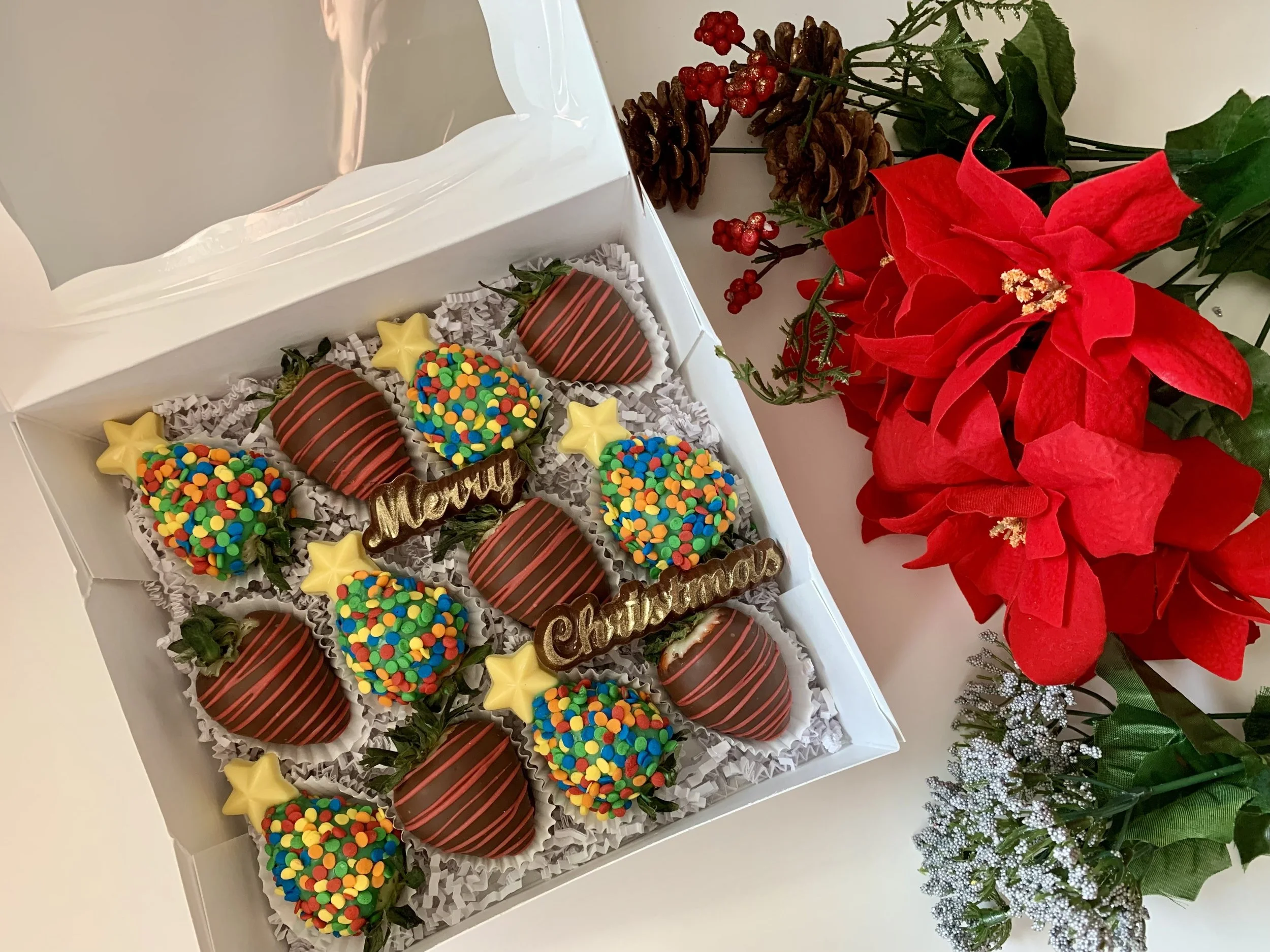 12 Bethlehem star Strawberries