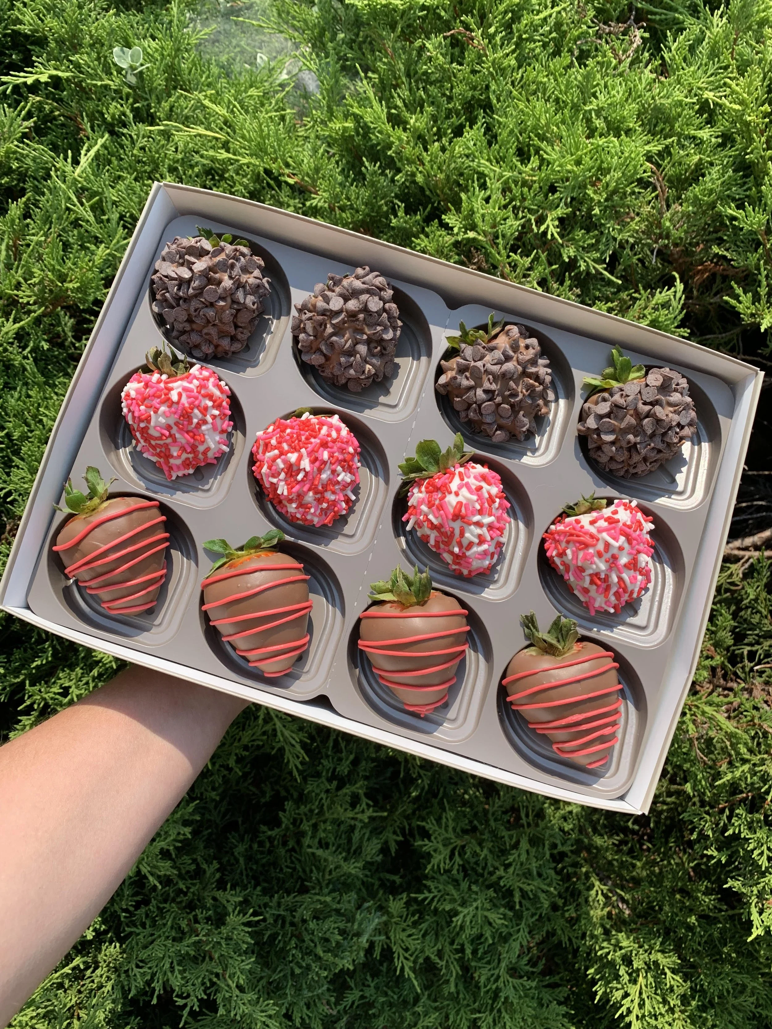 12 Valentines Strawberries