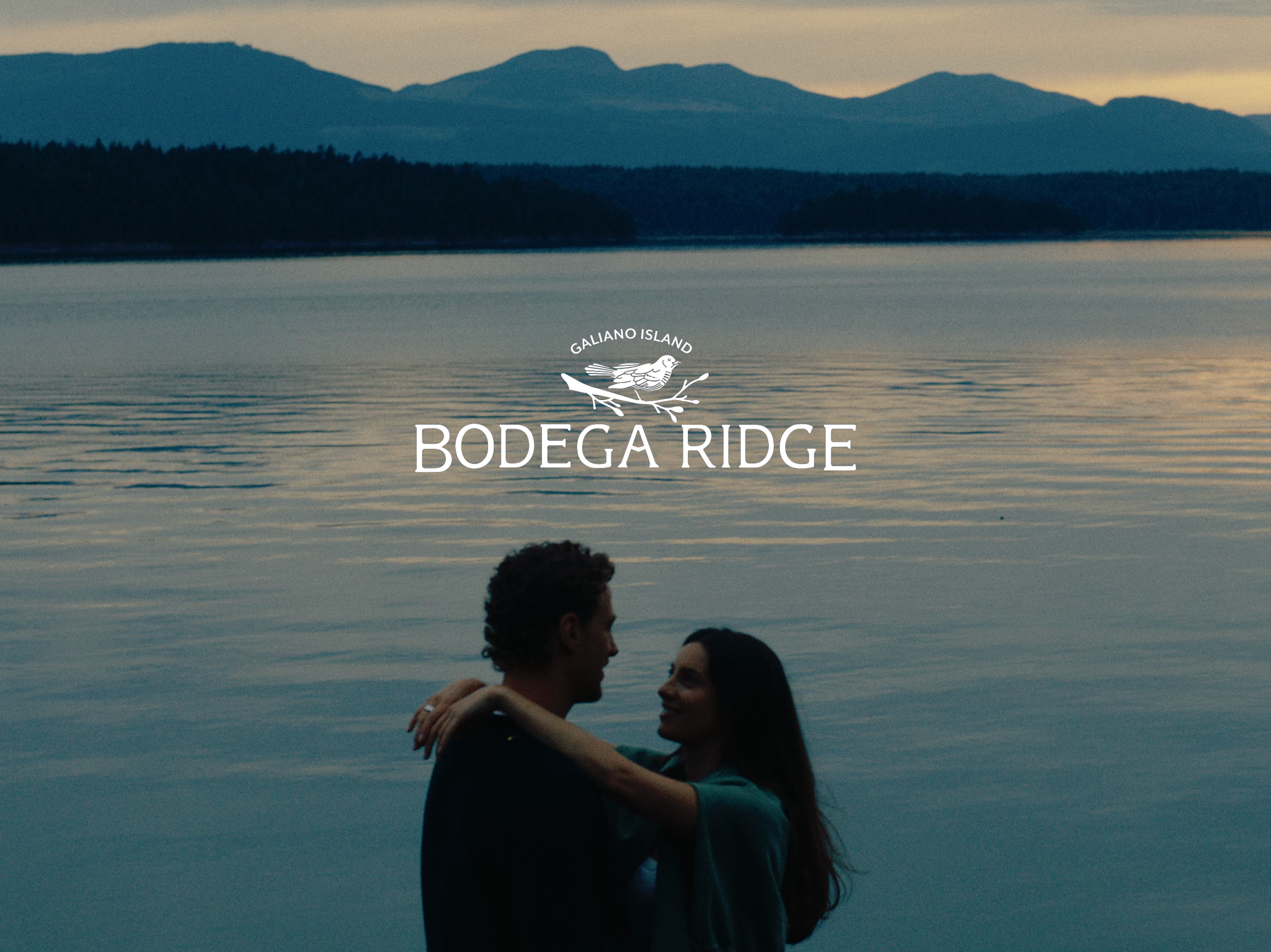 bodega_IG_main_img_logo.png