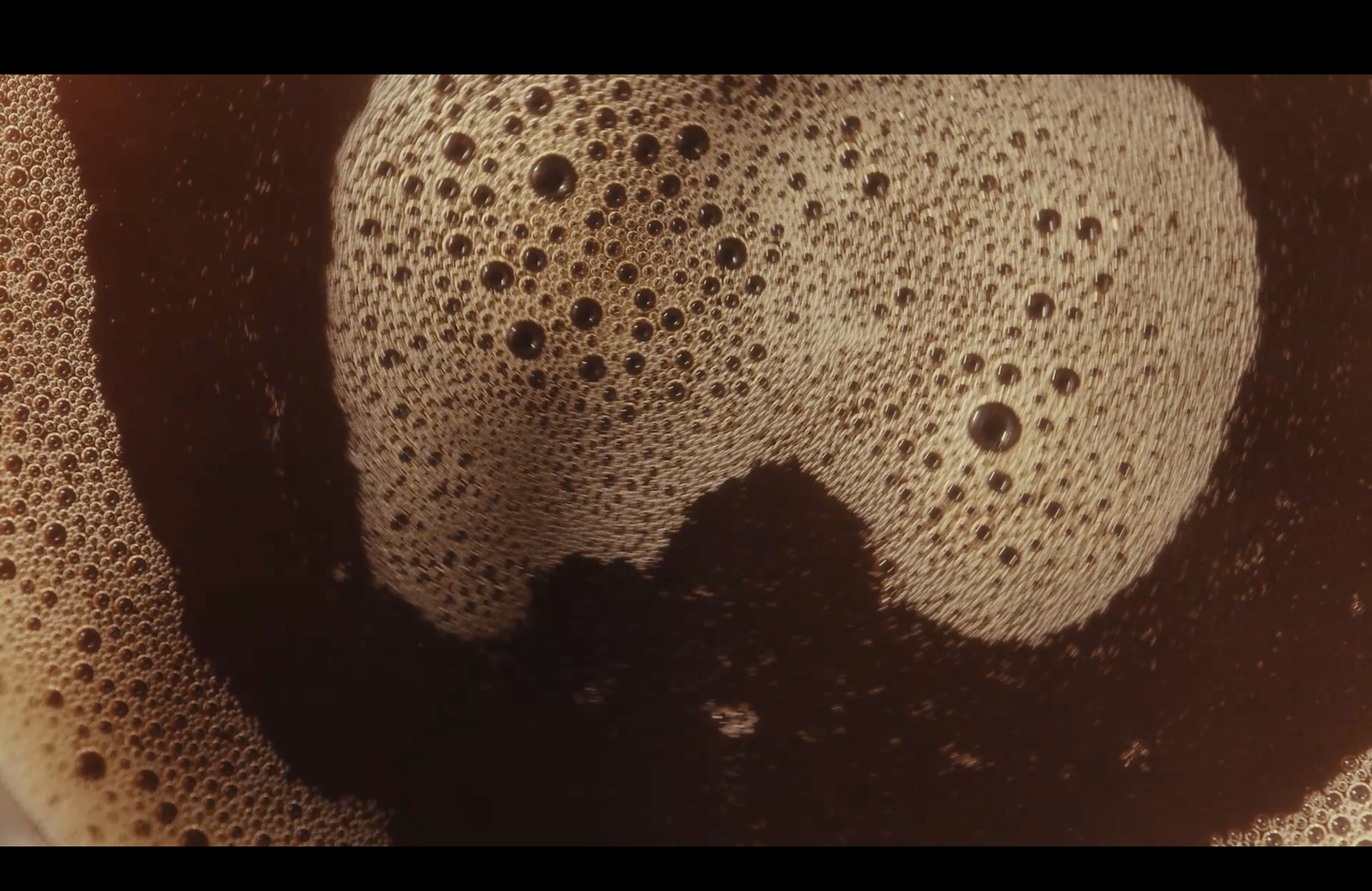 Screenshot 2026-04-28 at 11.46.05 AM.png