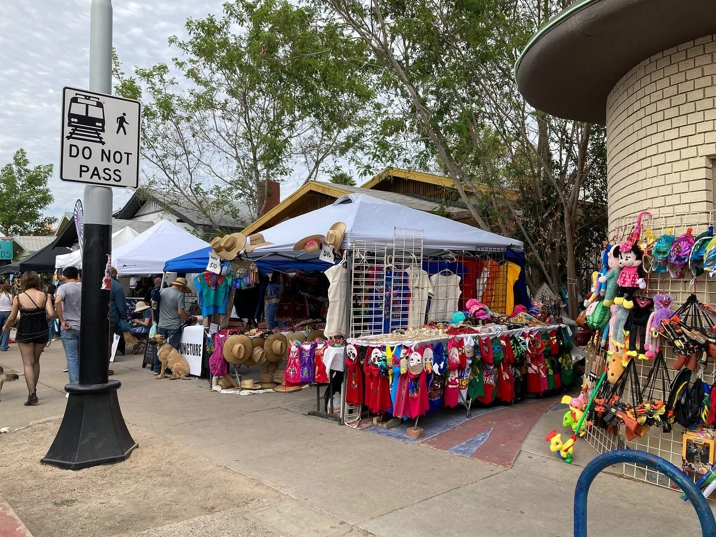 Visiting David