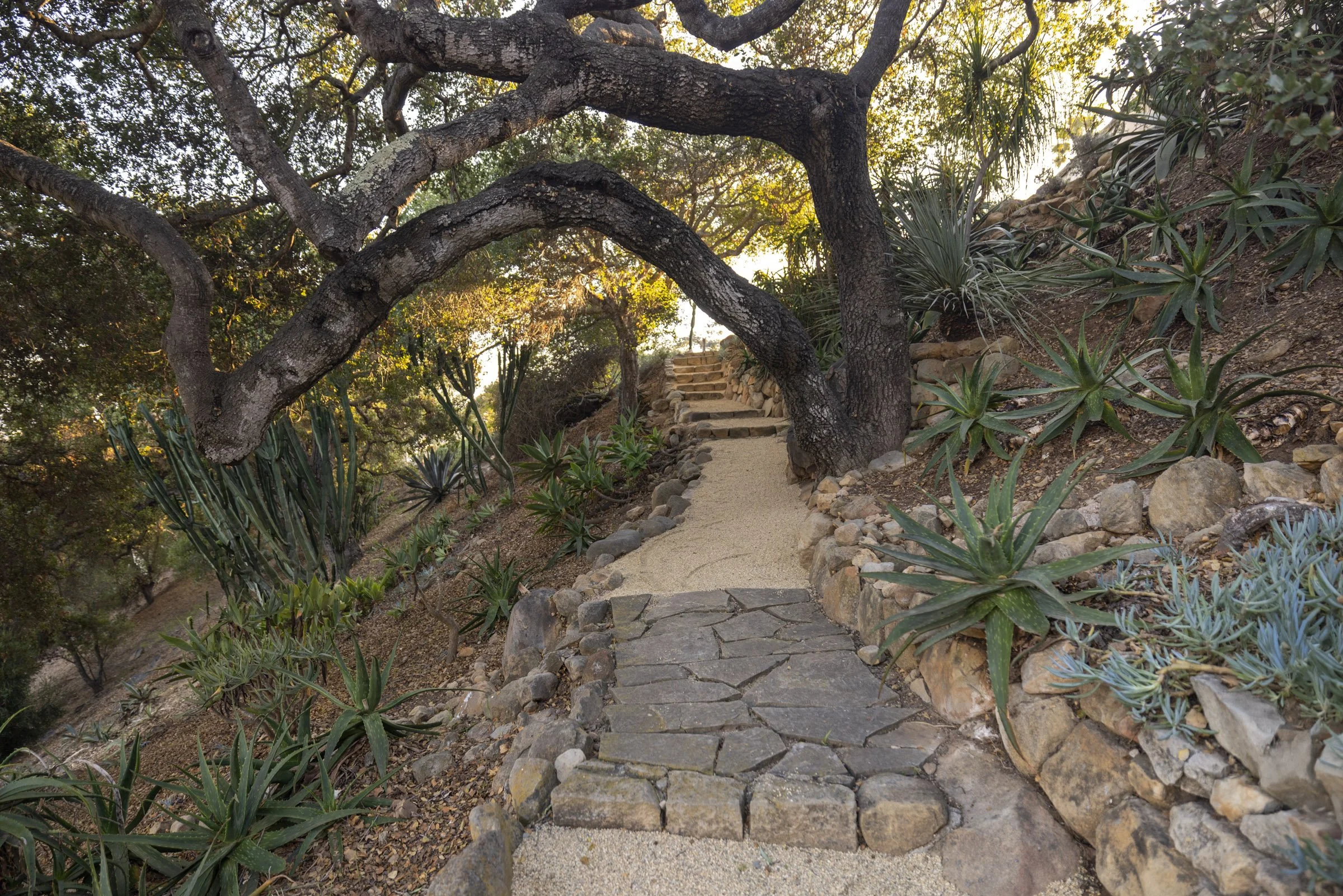 1022 Garcia_0020.jpg