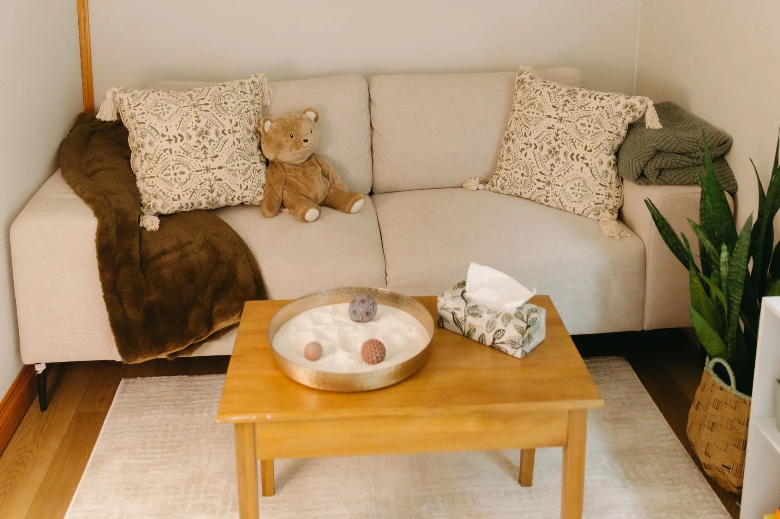Living room with a beige couch, gray throw blanket, decorative pillow, wooden coffee table with tissue box, white shelving unit with plants and decor, wall clock, framed floral art, and a lamp.