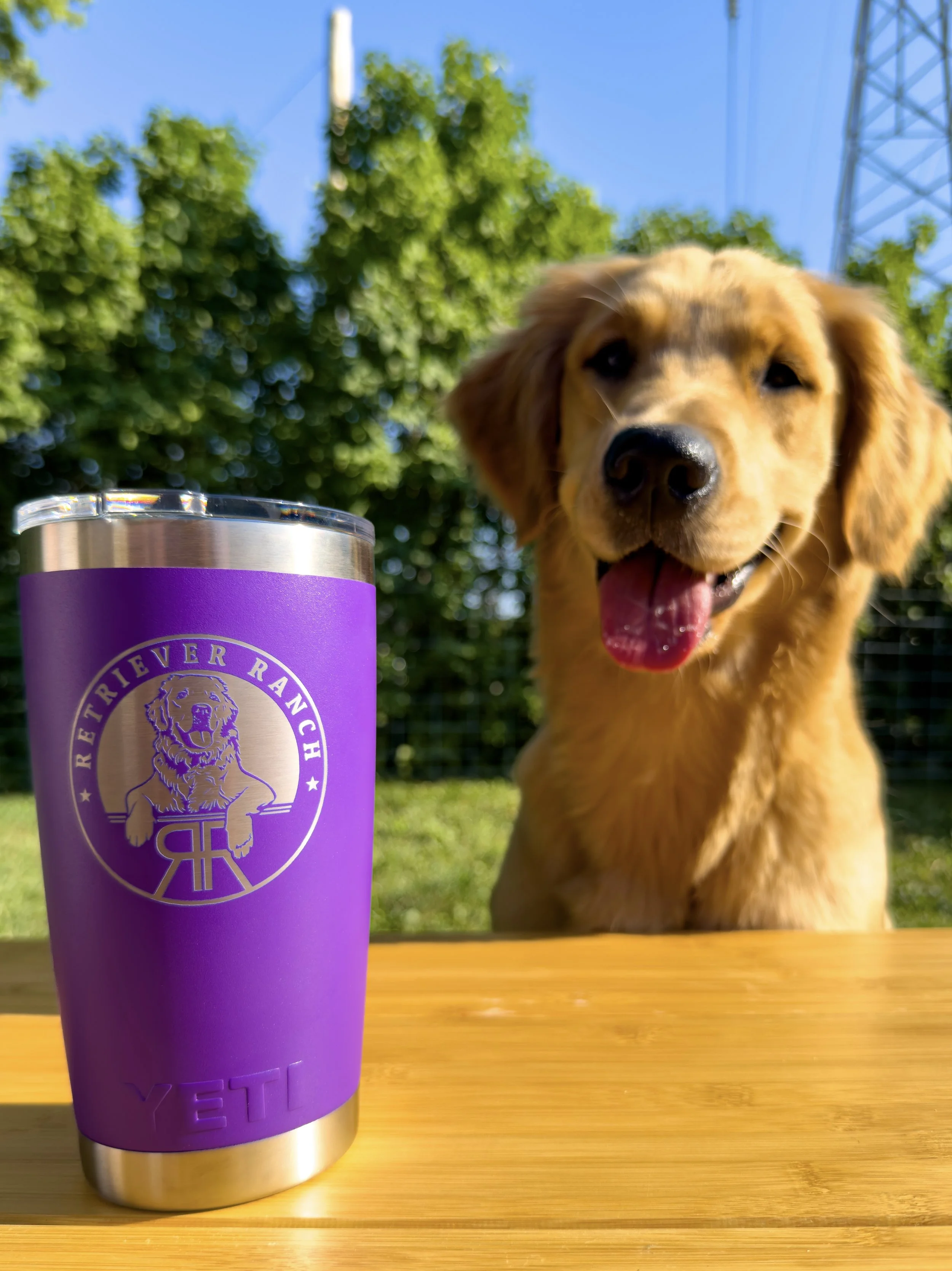 Yeti Rambler 20oz