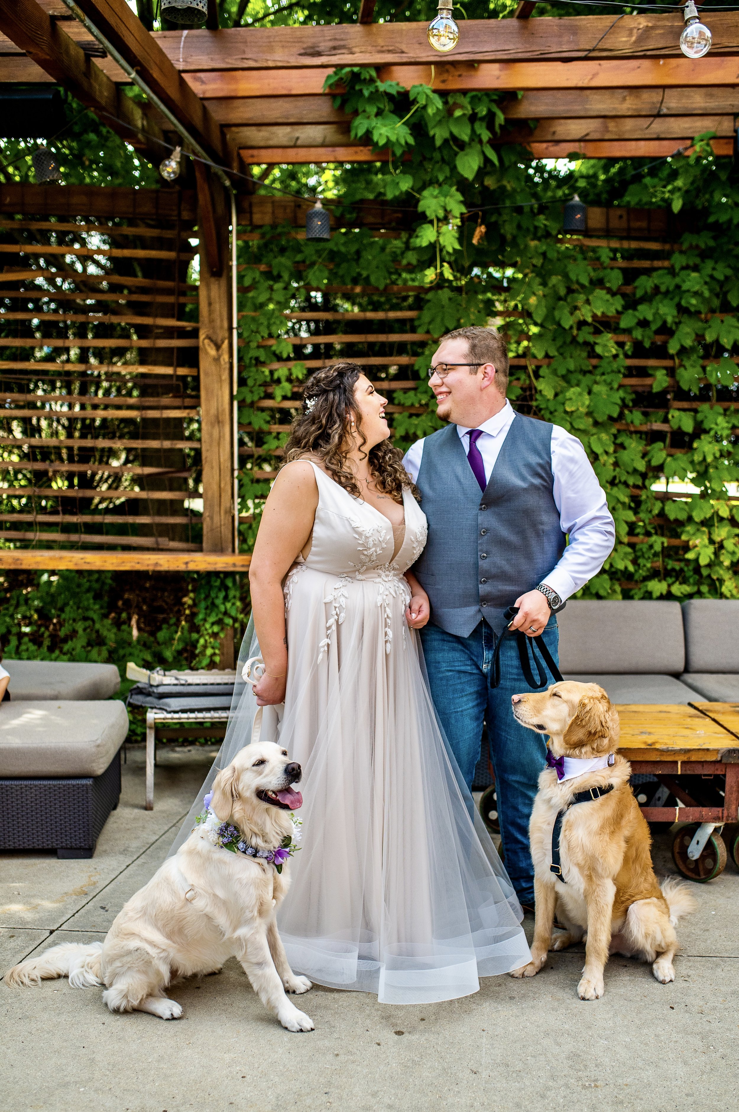 A newlywed couple in wedding attire standing outdoors under a wooden pergola with green foliage. The bride wears a white wedding gown with lace details, and the groom wears a blue vest, white shirt, and purple tie. They are smiling at each other. Two Golden Retrievers, one sitting and one standing, are with them, both wearing purple bow ties and floral collars.