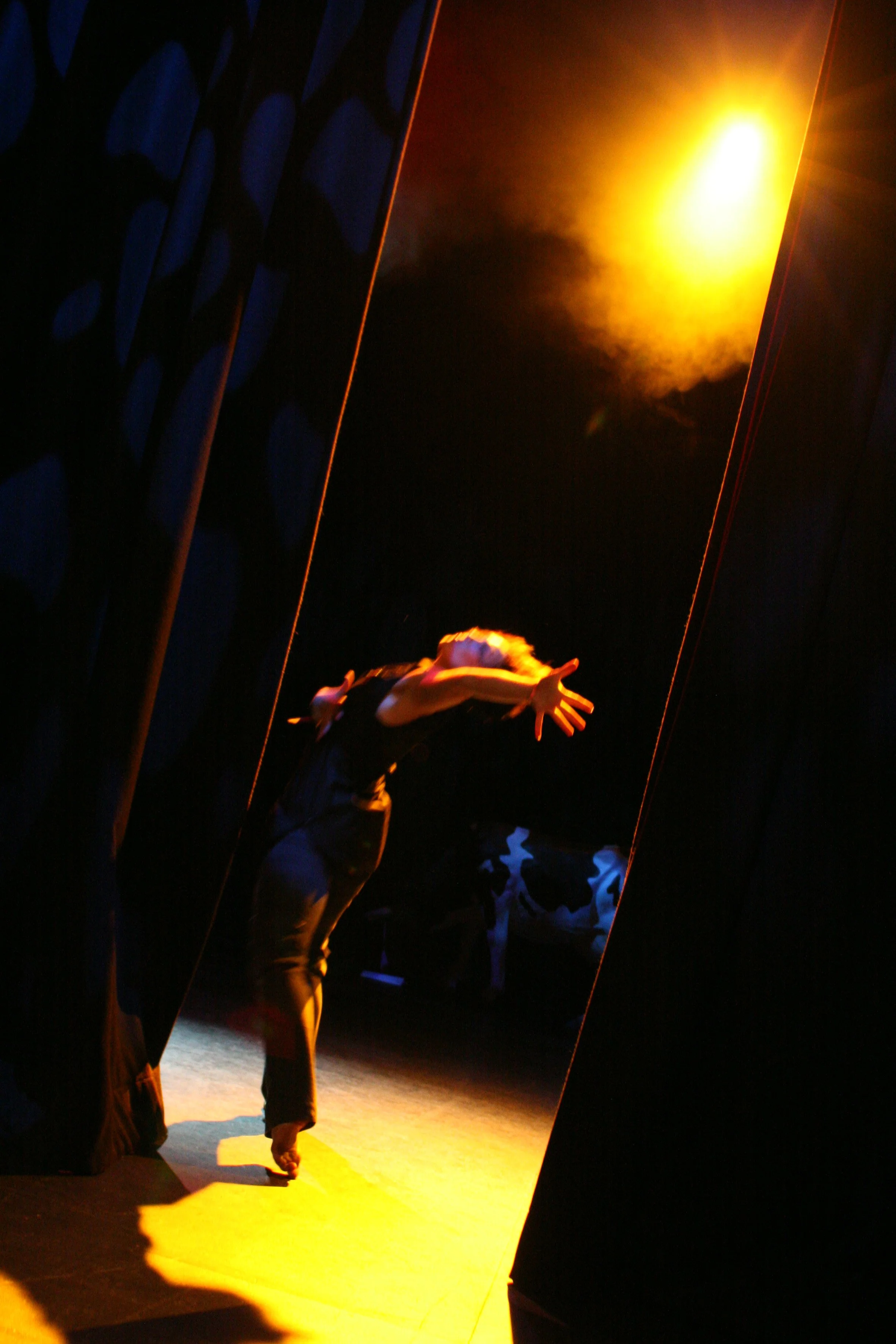 Phluxus2 The Opposite of Prompt. Nerida Matthaei.