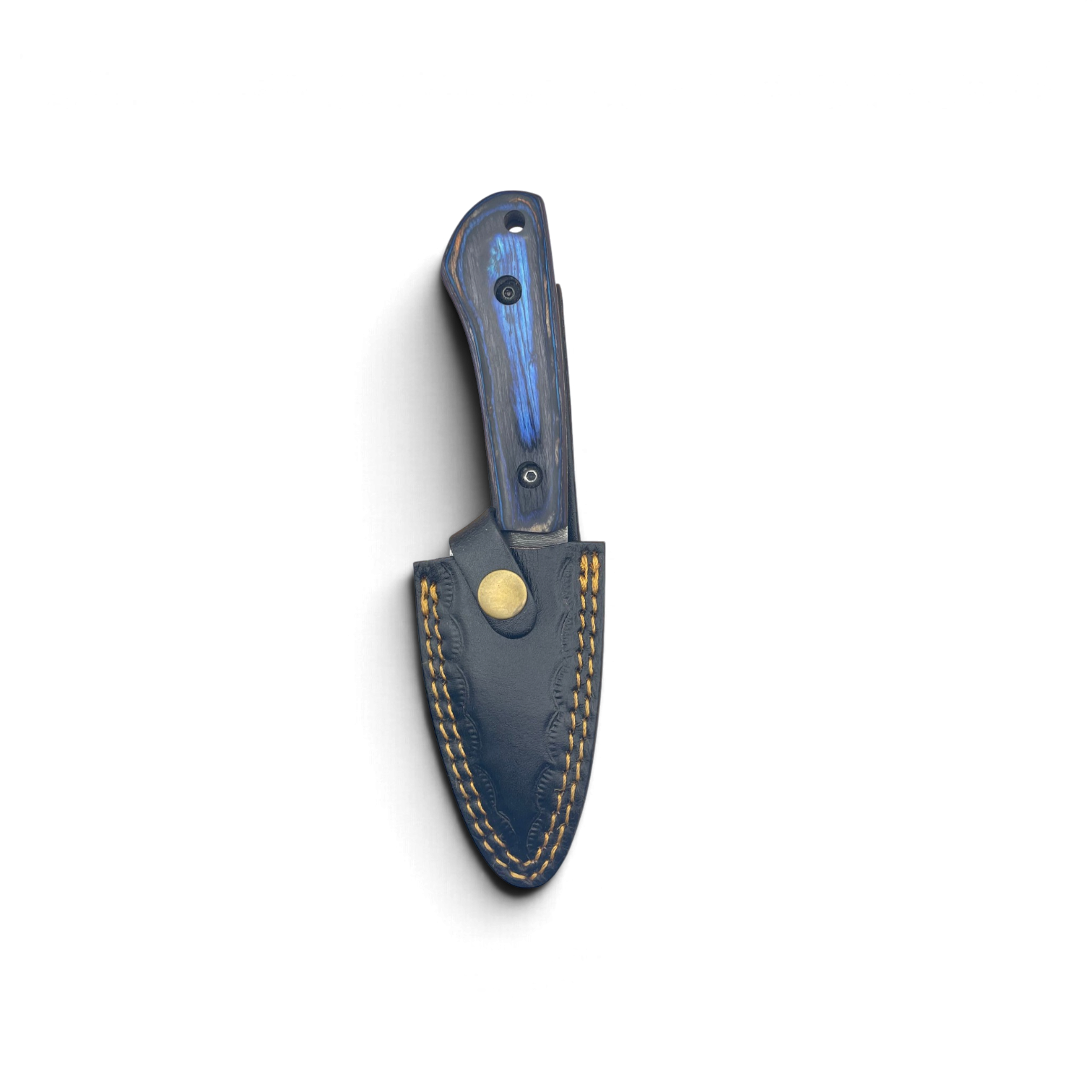 IMG_2174.png