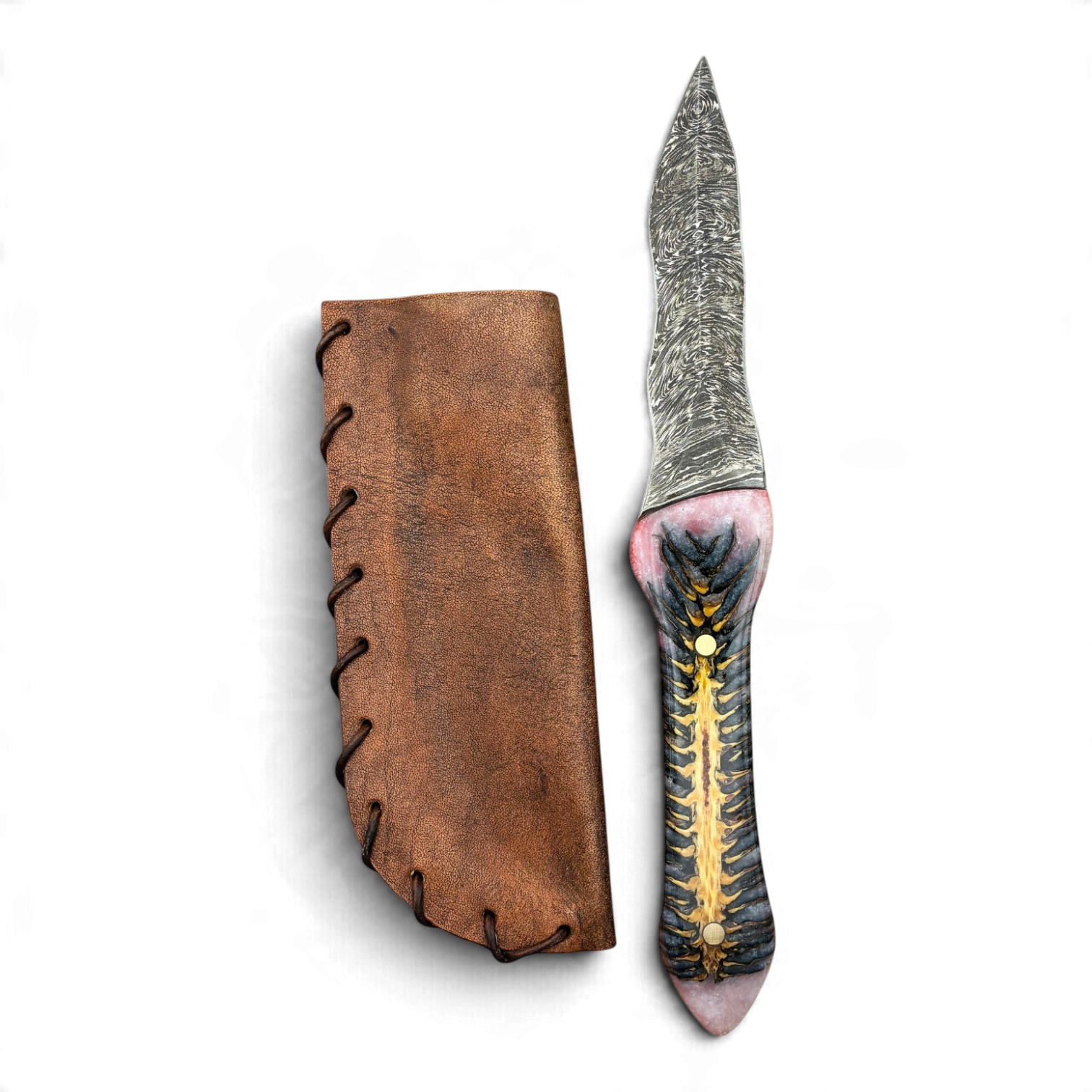 RF22_1.png