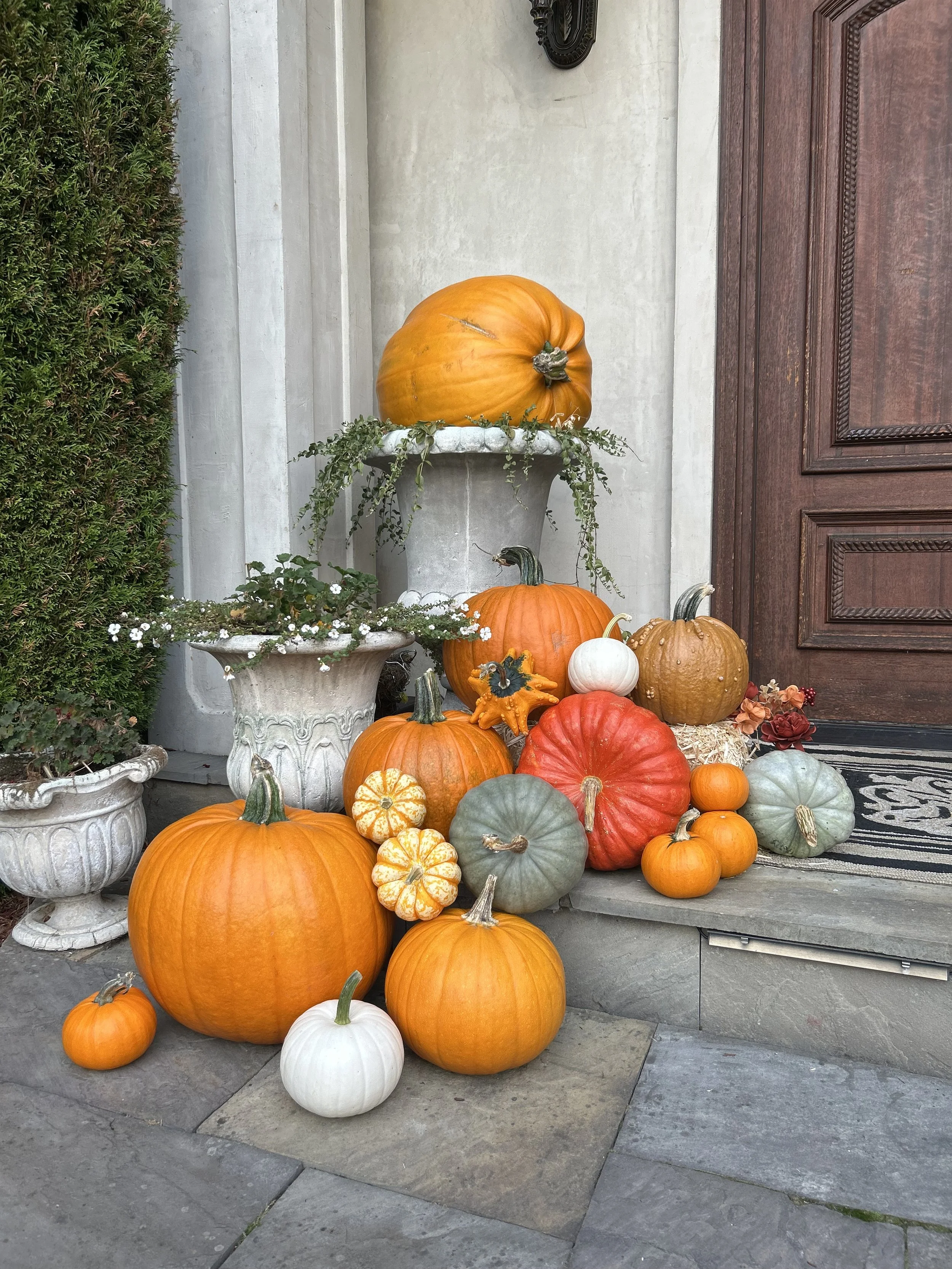IMG_5967.jpg