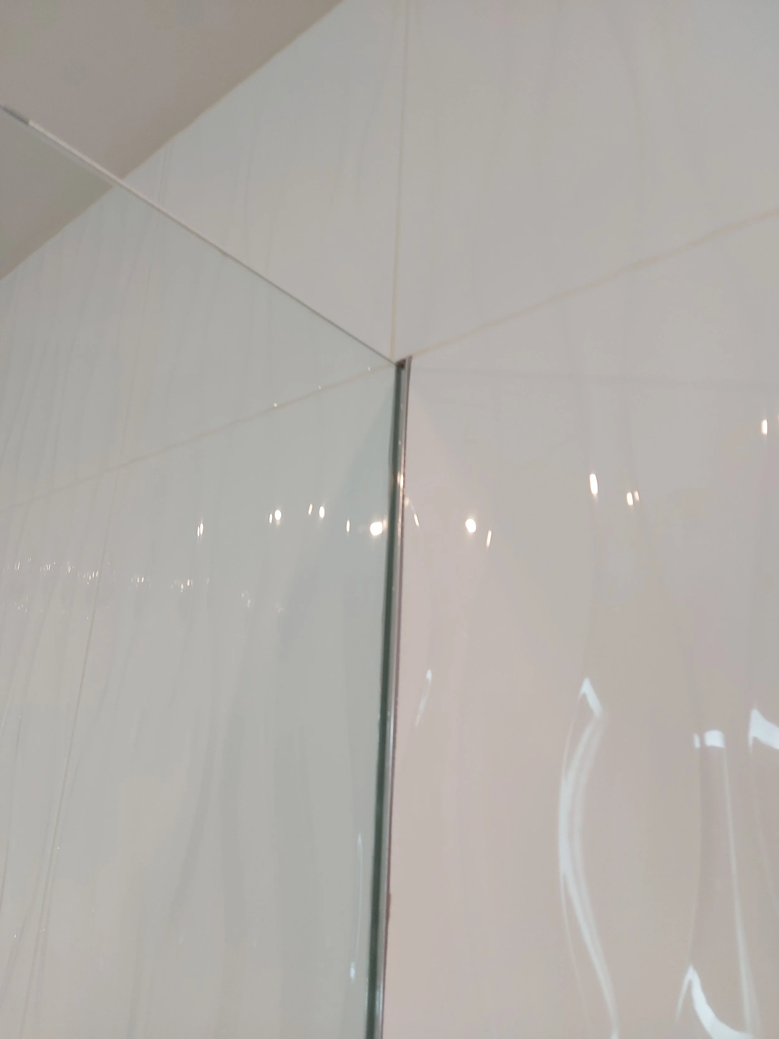 Crystal Glass Shower Enclosures Victoria BC63.jpg