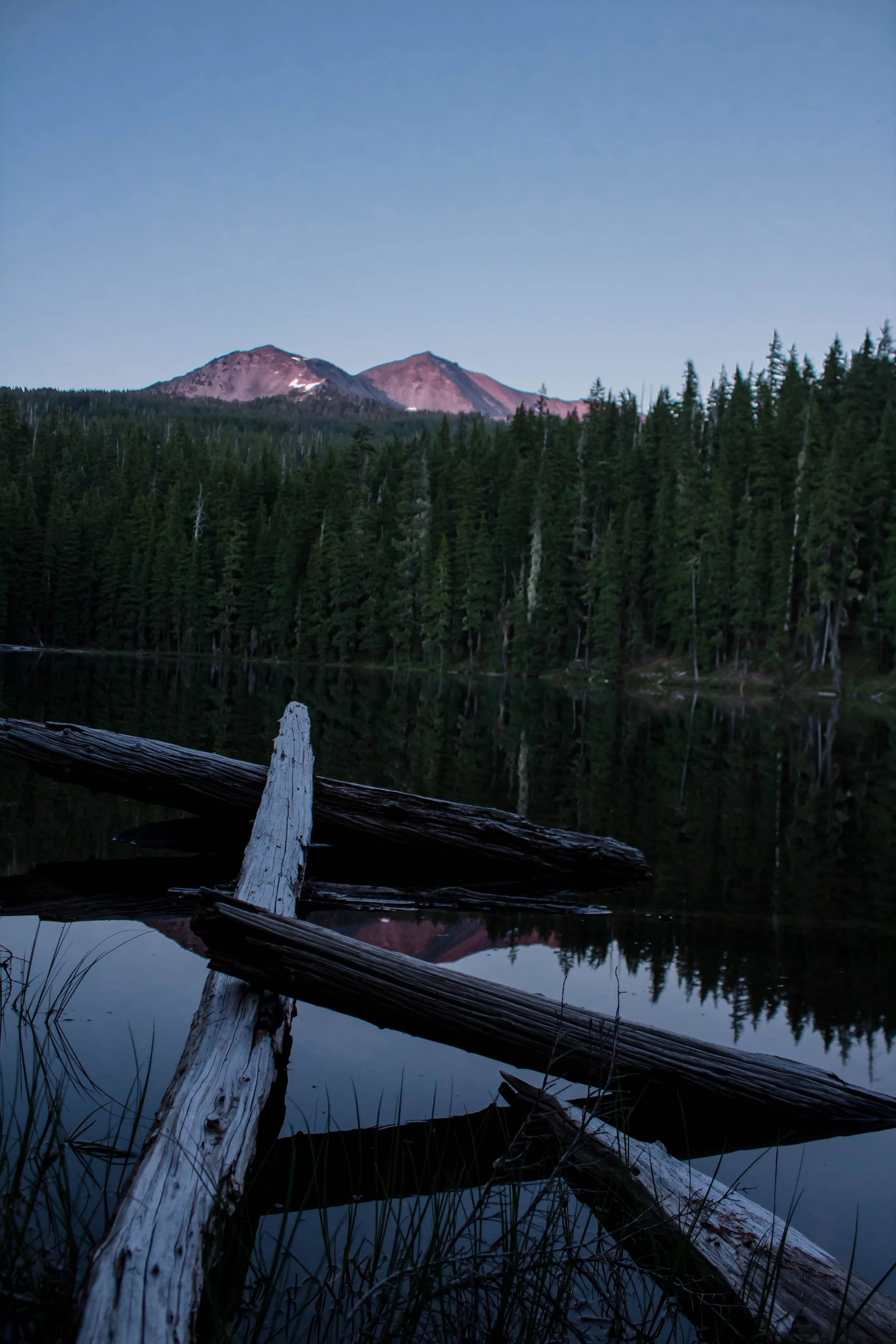 Diamond Peak Wilderness, Oregon 7.27.17