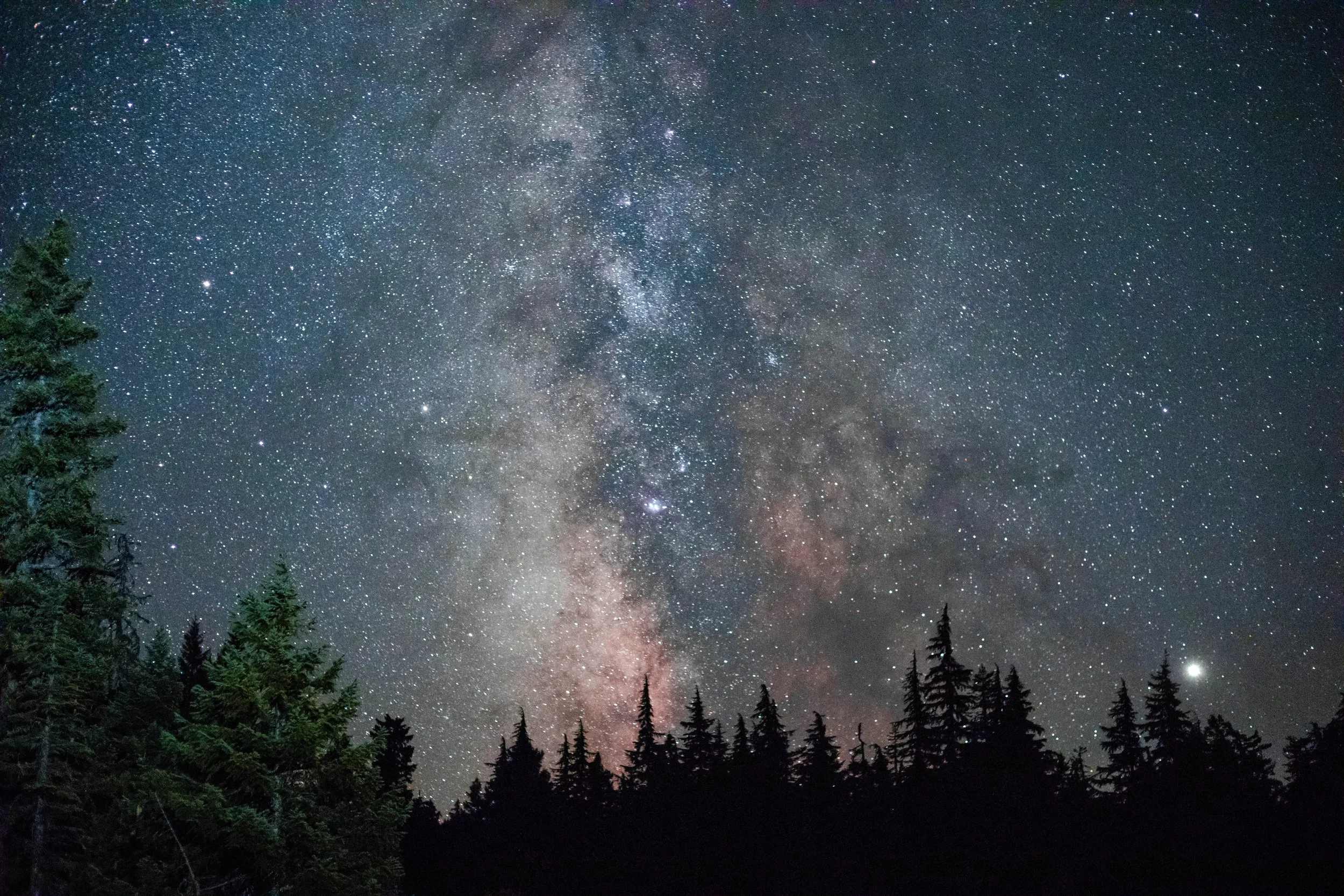 Willamete NF, Oregon 7.28.19