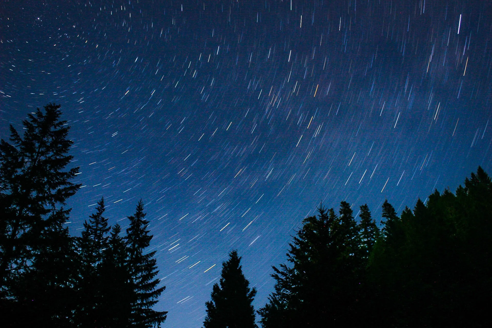 Willamette NF, Oregon 6.2.17
