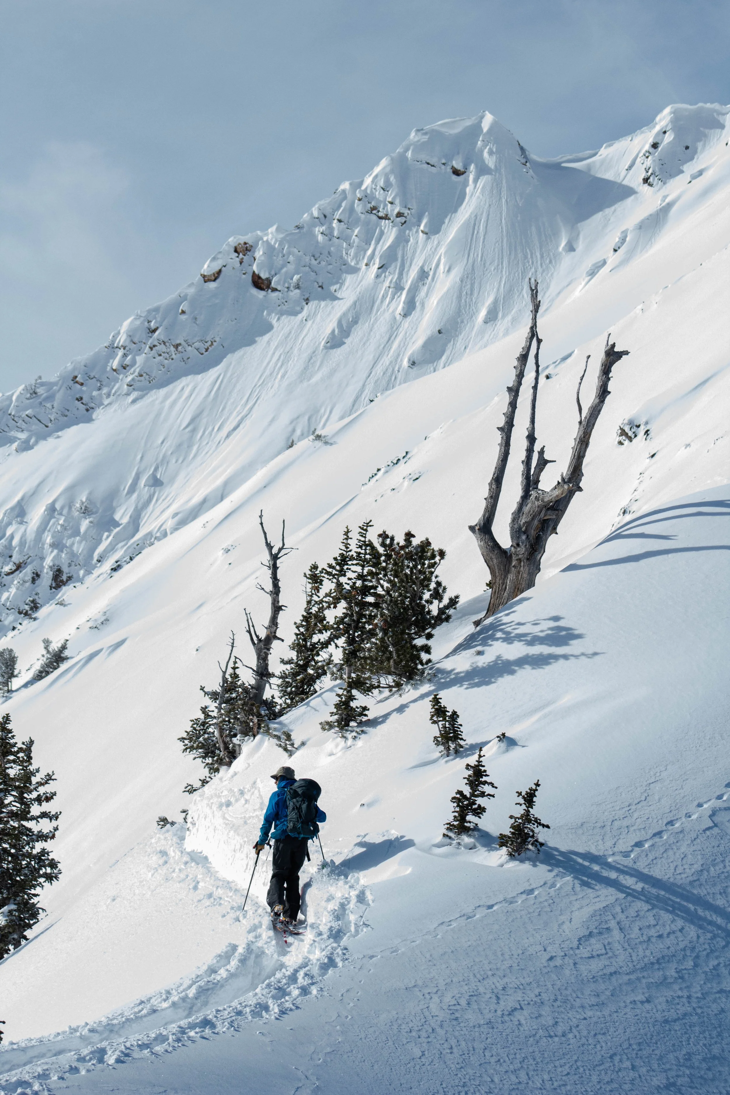 Mt. Superior, Utah 1.18.20