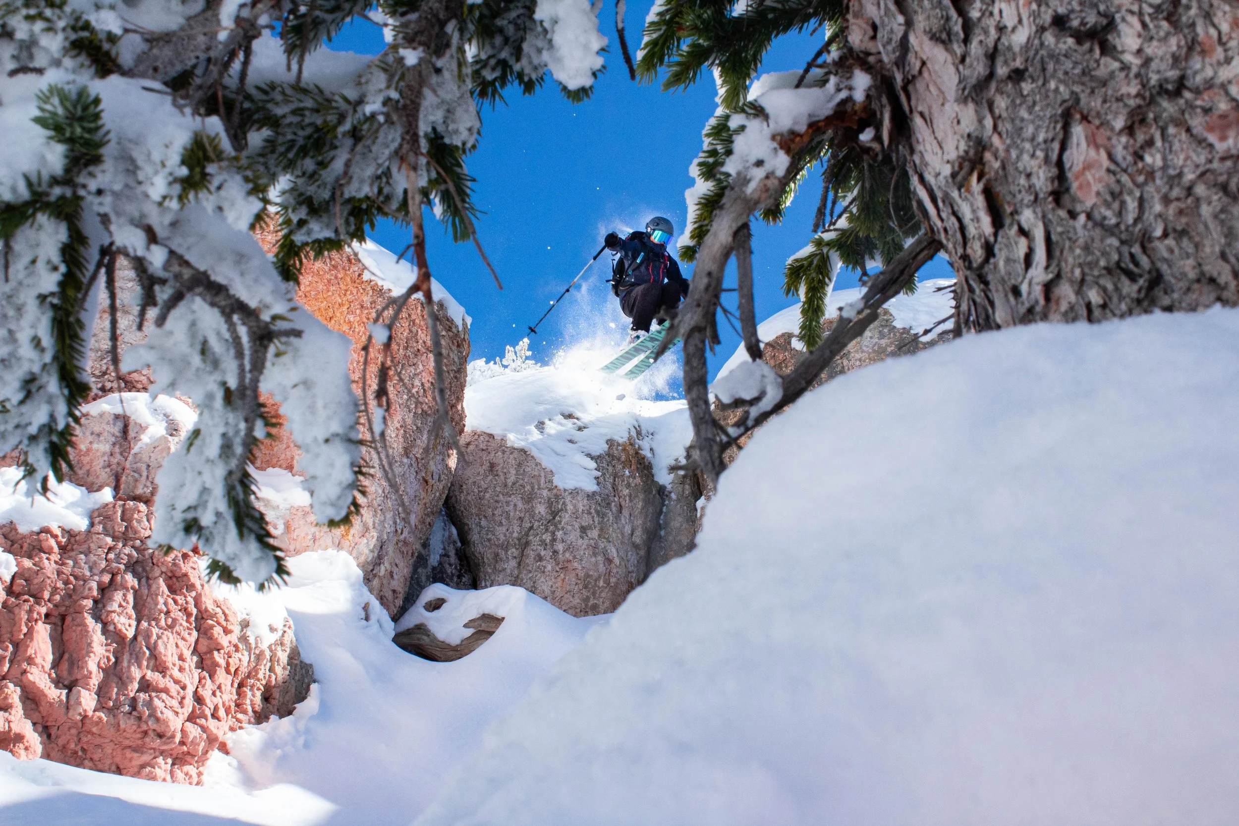 Cedar Canyon,
Utah
11/10/20