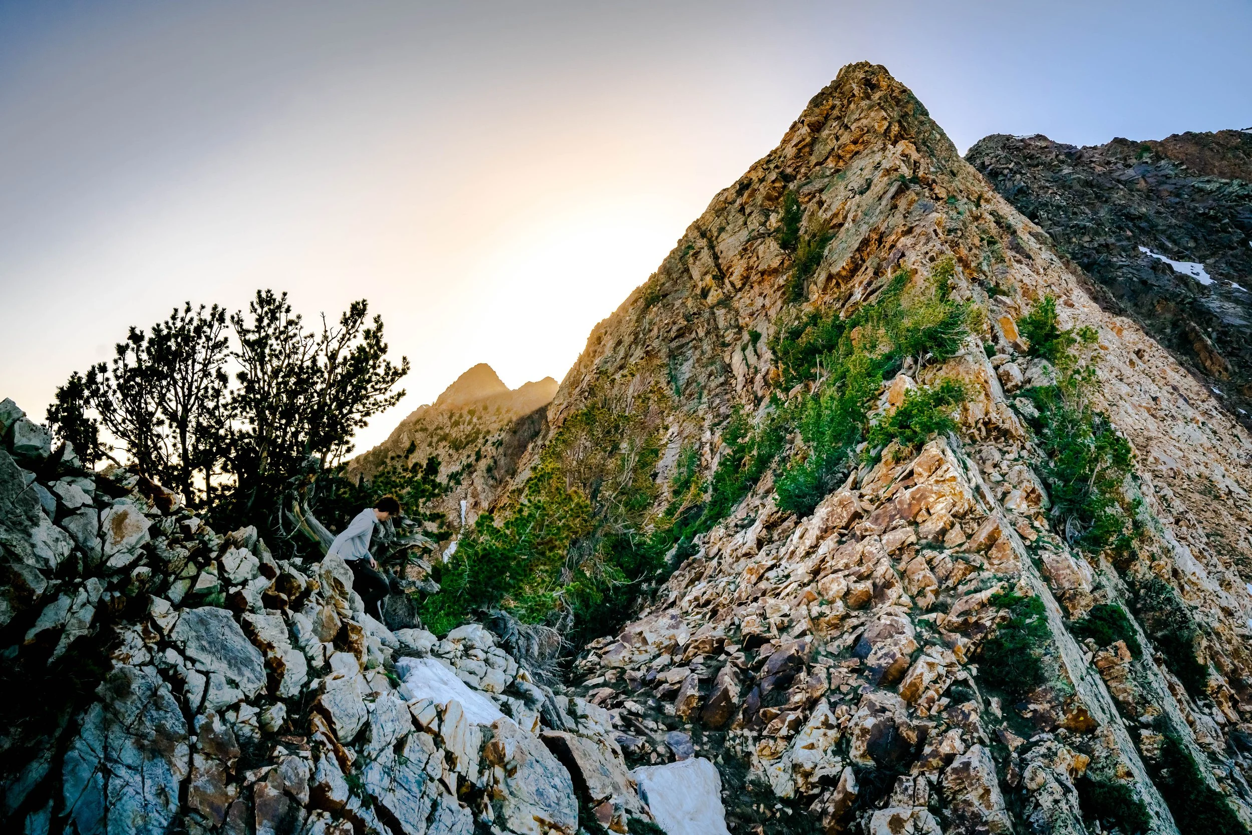 Aaron Superior Final.jpg