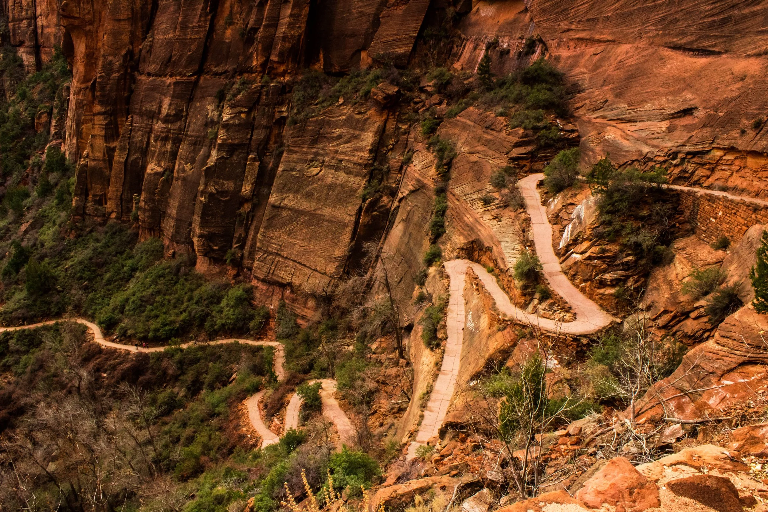 Zion NP, Utah 1.20.19