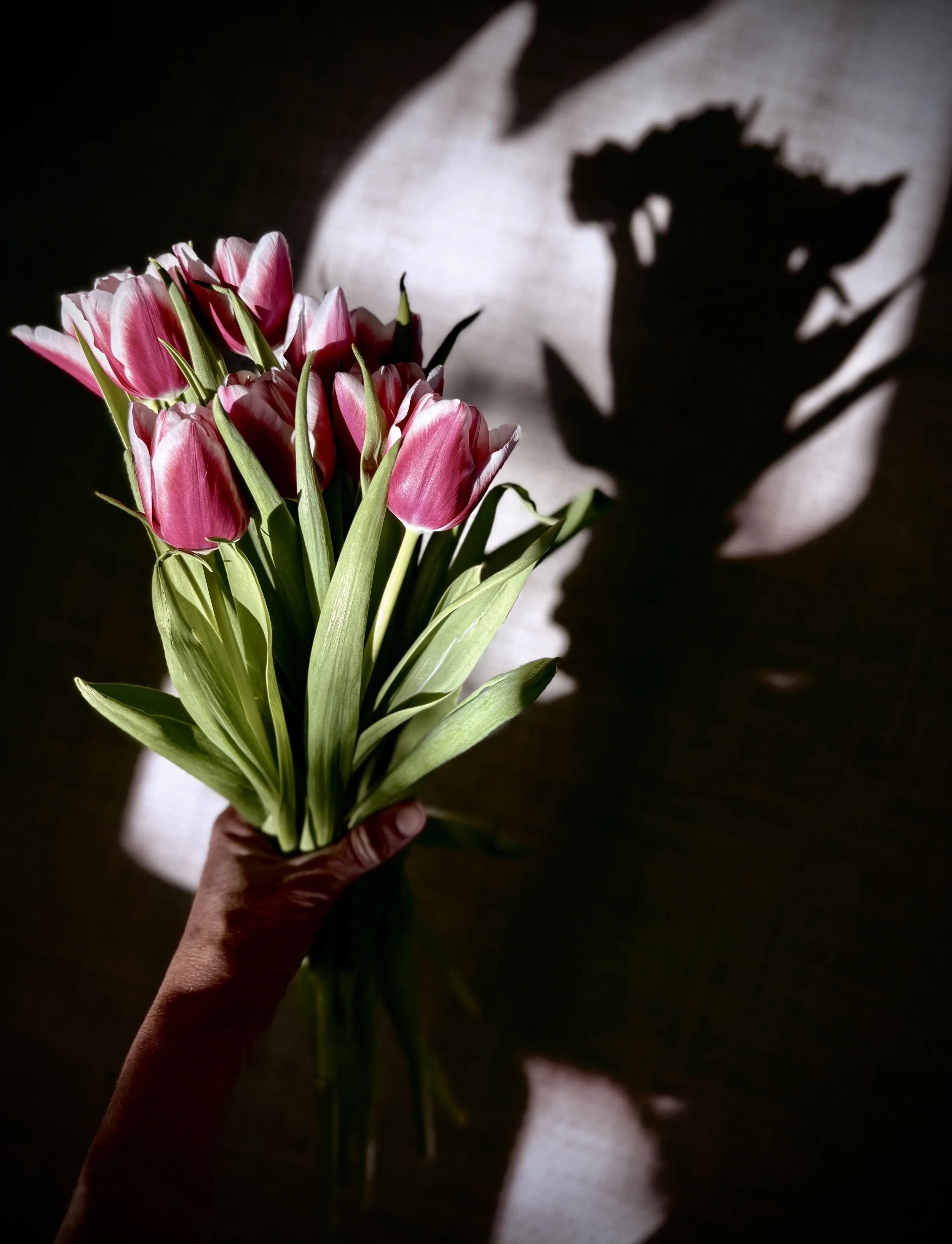 On Trusting Ourselves 