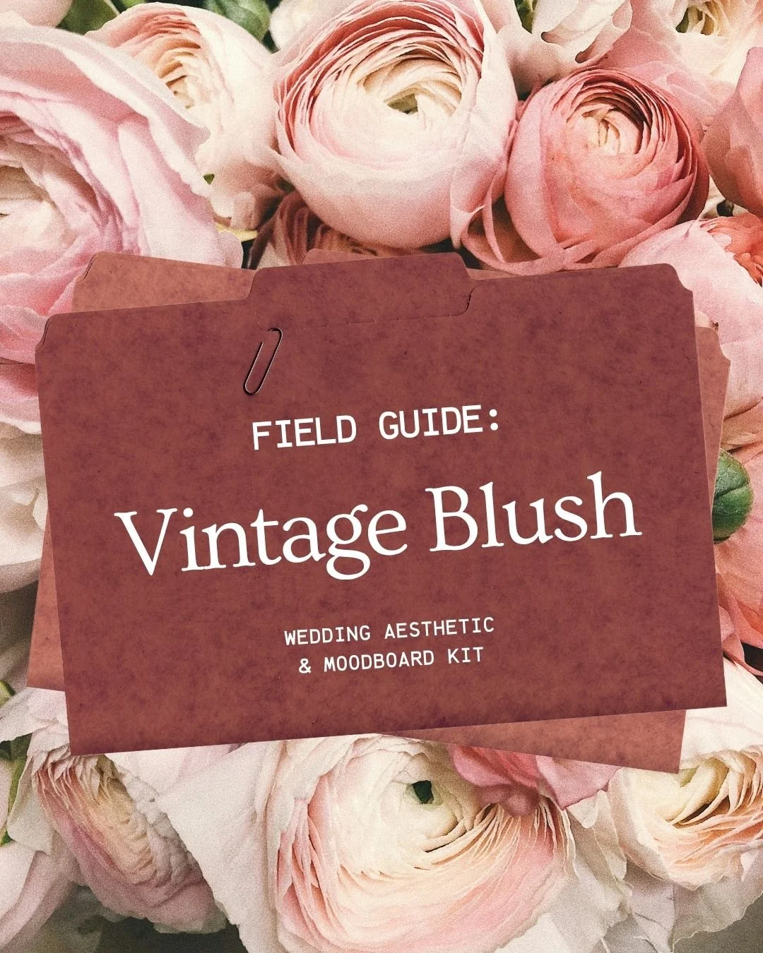 Meet Vintage Blush &mdash; the Field Guide that wraps your wedding in soft pinks, antique tones, and dreamy romance.

If you&rsquo;re craving a cohesive aesthetic but don&rsquo;t know where to start&hellip; this kit does the heavy lifting for you. 

