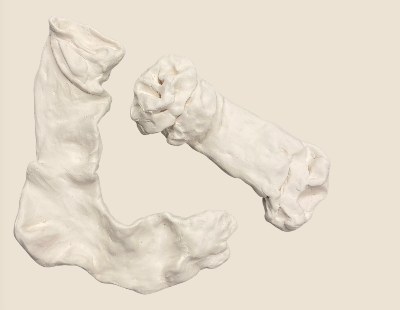 A sculpture featuring two white dinosaur heads facing each other, with one on the left and the other on the right, connected by a curved, textured structure.