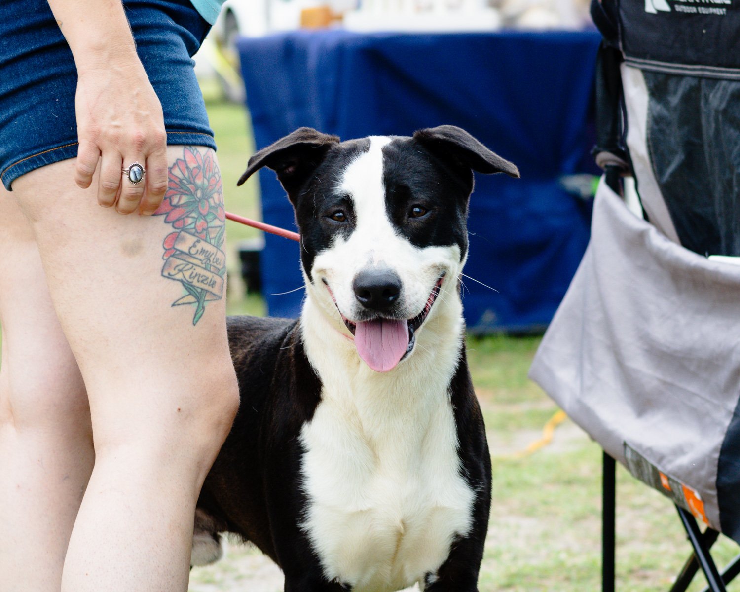 Grant opens door for increased pet adoptions 
