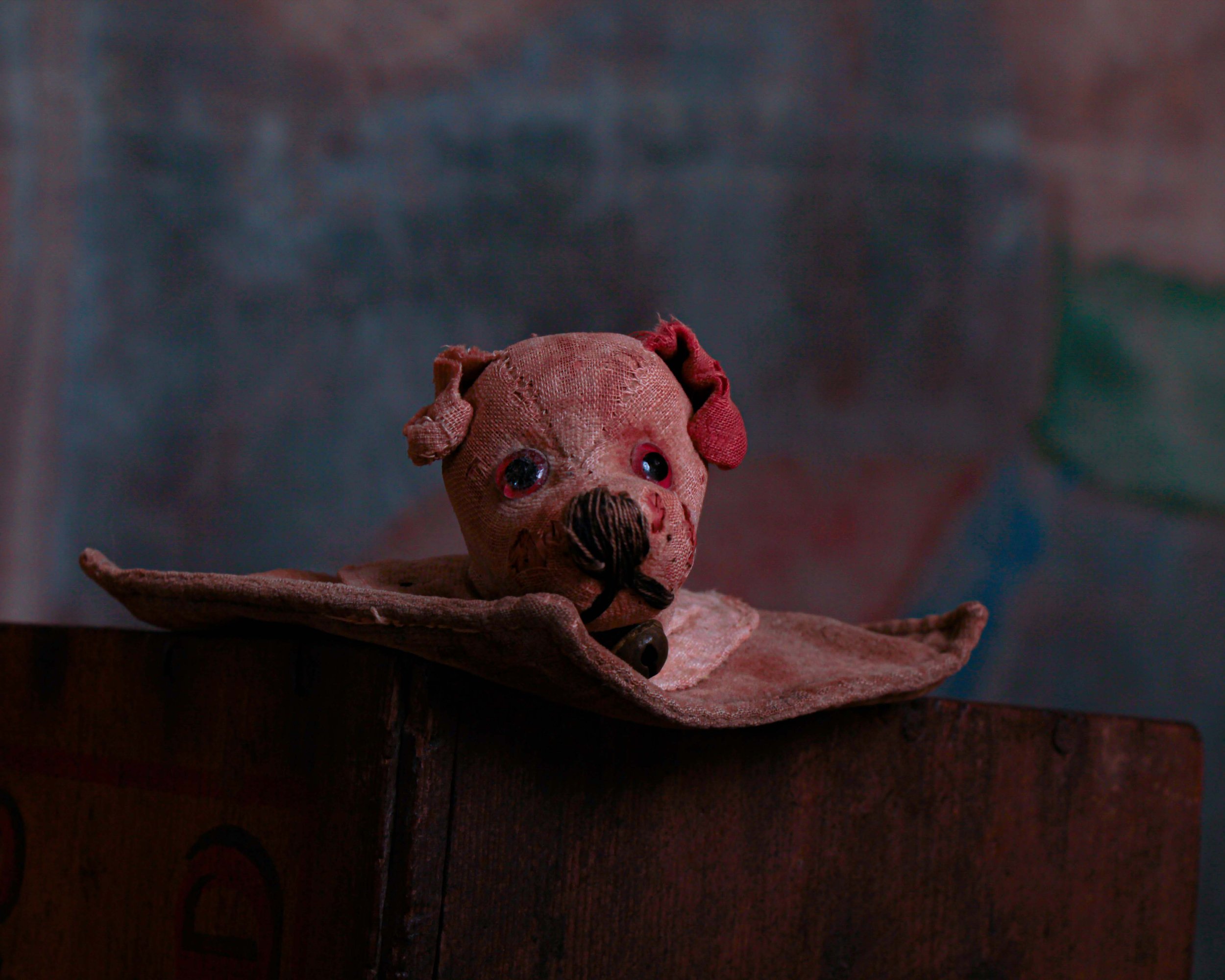 Dog ink pen wipe-6.jpg