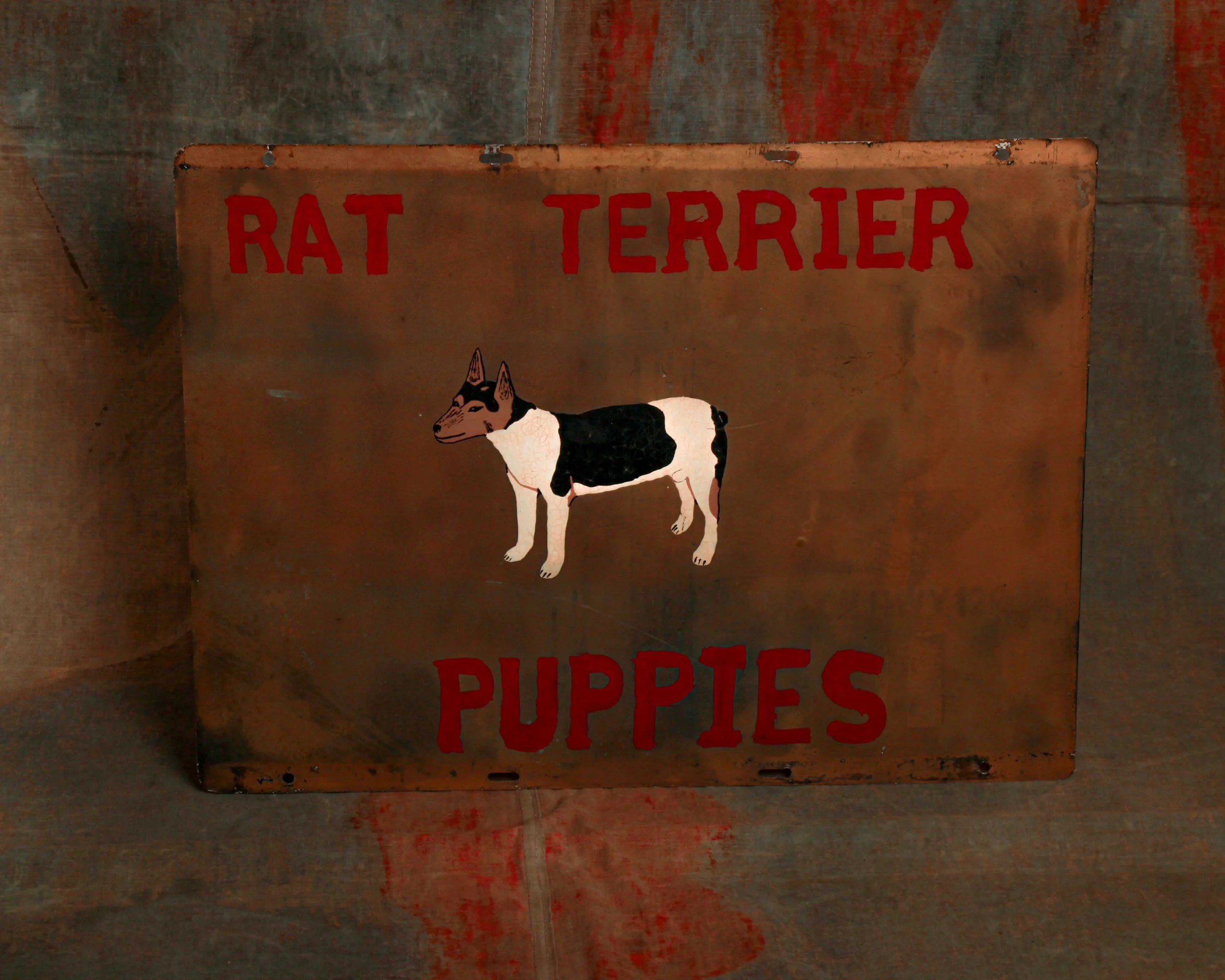 rat-terrier-dog-sign-2.jpg