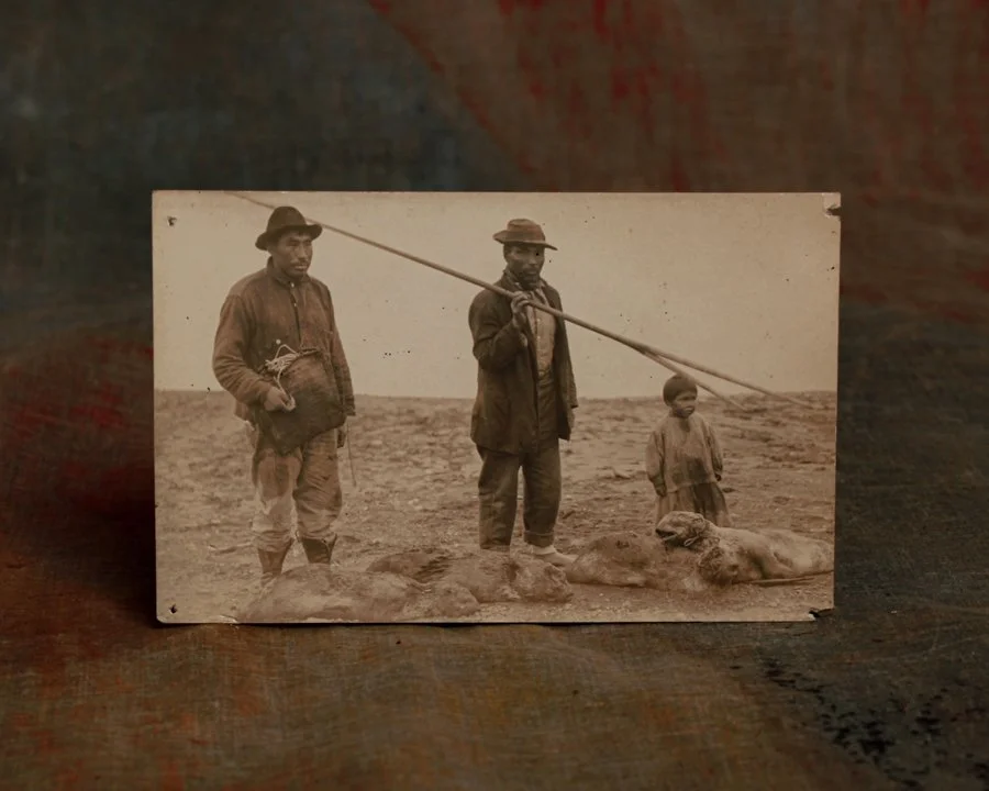 Seal photography-3.jpg